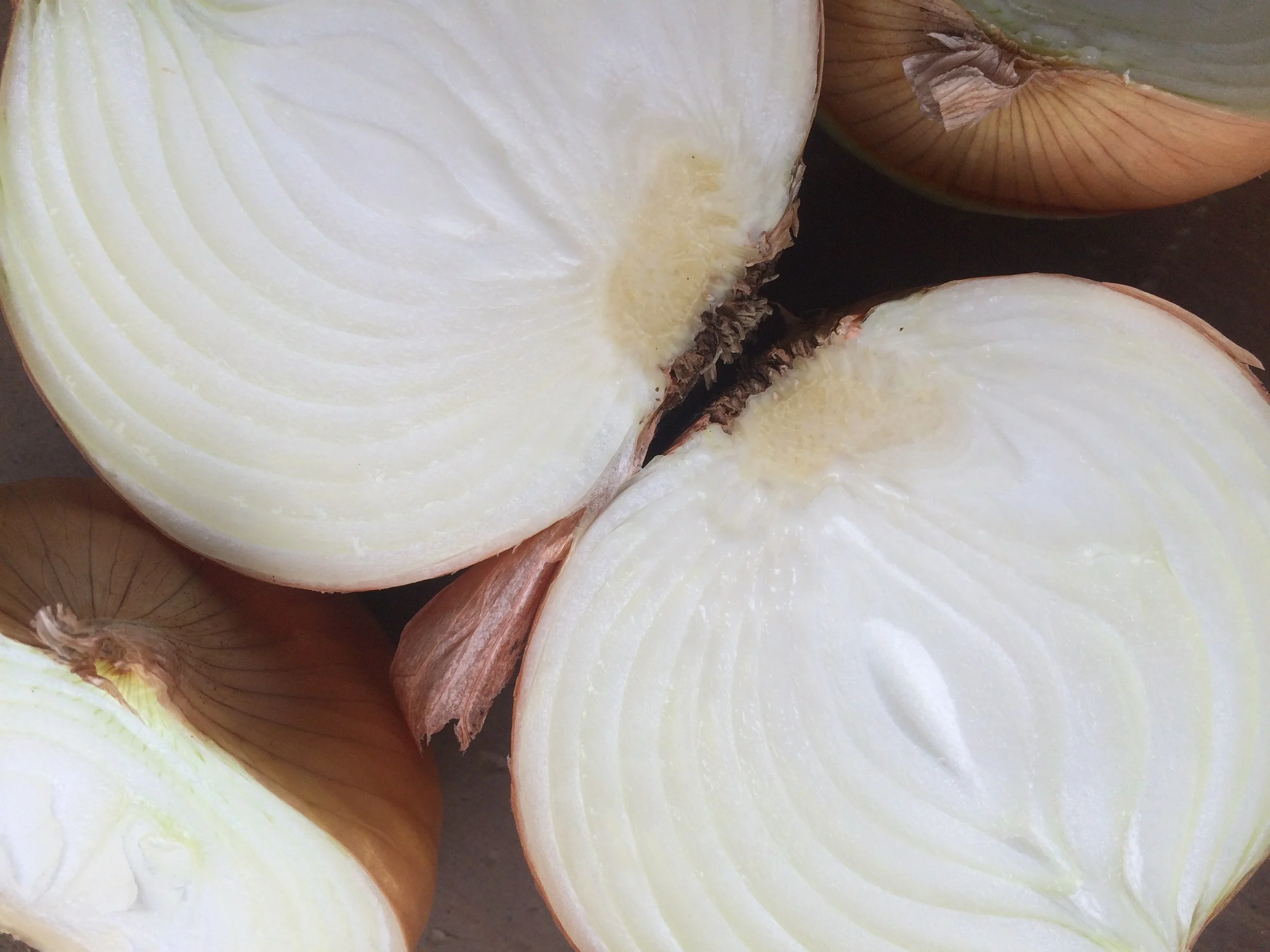Onion layers1.jpeg