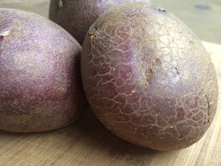 Potato-Purple1_sm.jpeg