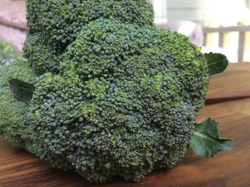 Broccoli1-web.jpg