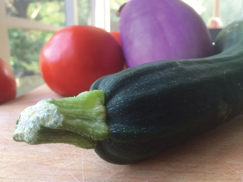 Zucchini-eggplant-tomato-web.jpg