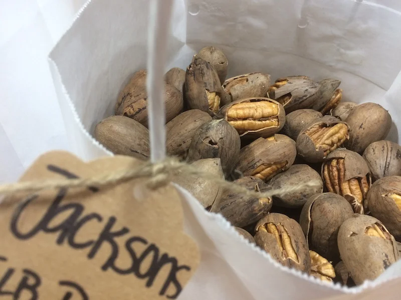 Pecans-jacksons-sm.jpeg