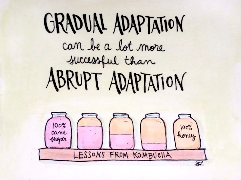 Traditions Across the U.S.: Kombucha