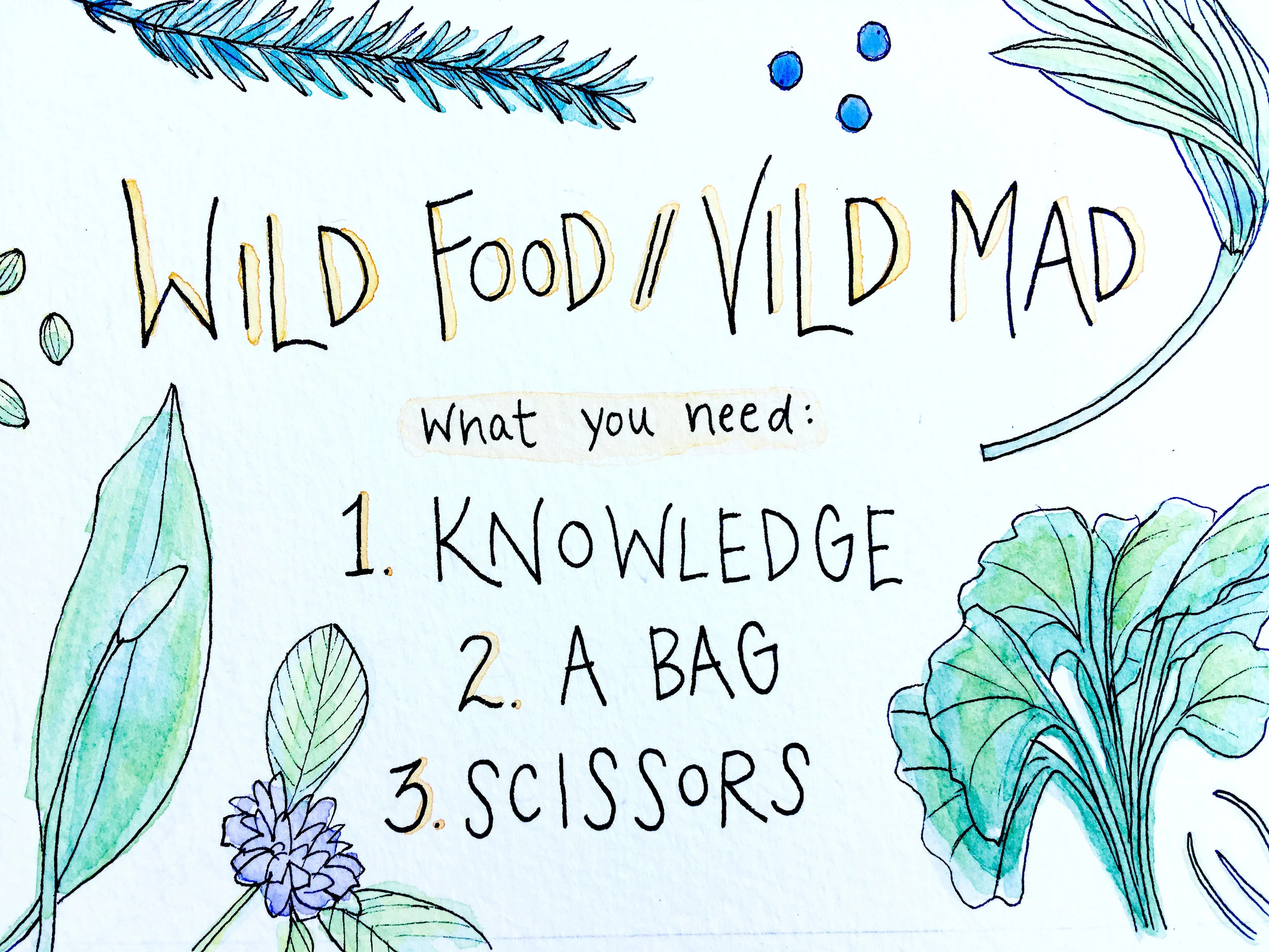 Get to Know the Wild Food Around You
