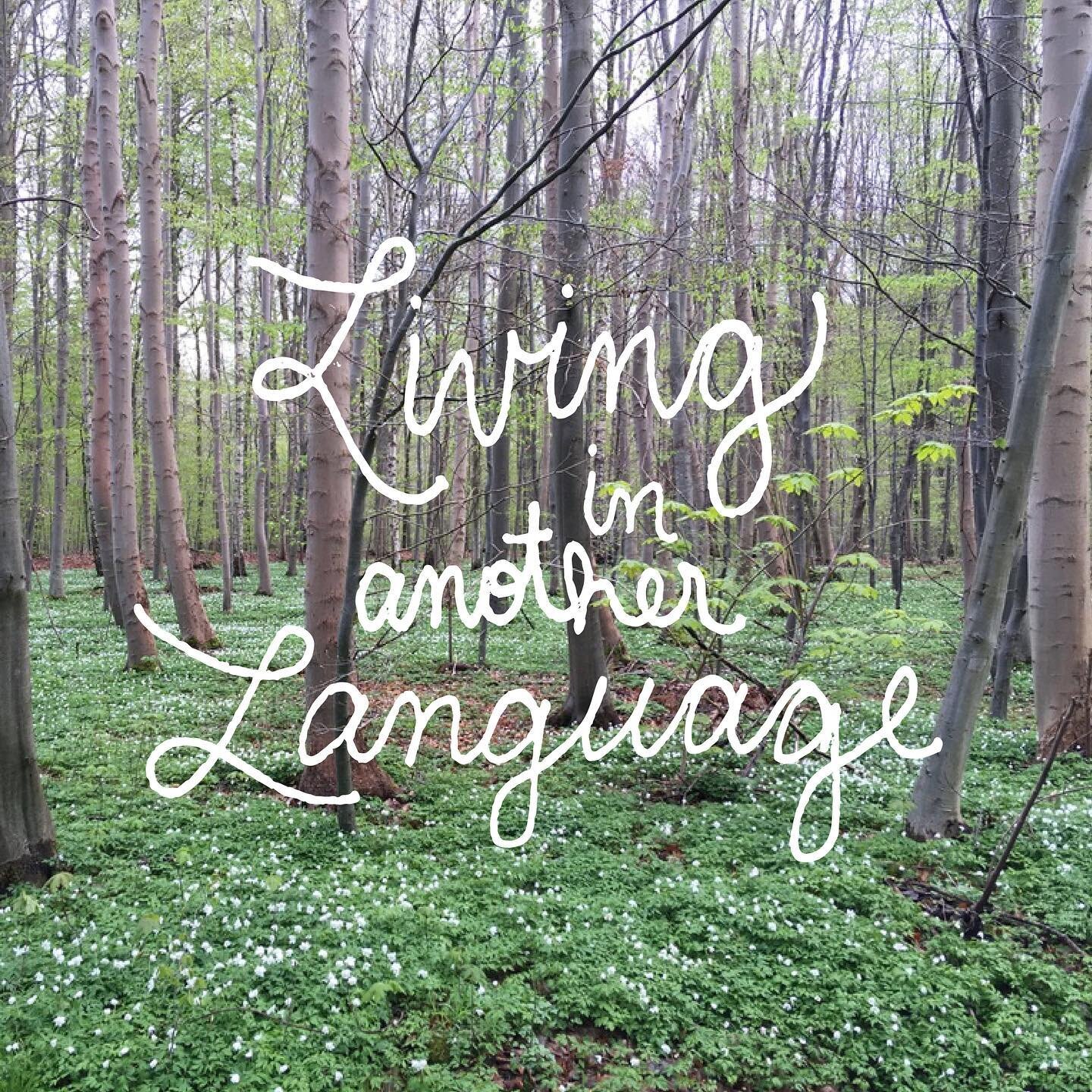 Living in Another Language
(An Impromptu Essay)

Today I met with a dear friend. After we said our farewells in Danish, I turned to head home, and my brain untangled. My shoulders exhaled. My mind, after chasing down one word after another, went stil