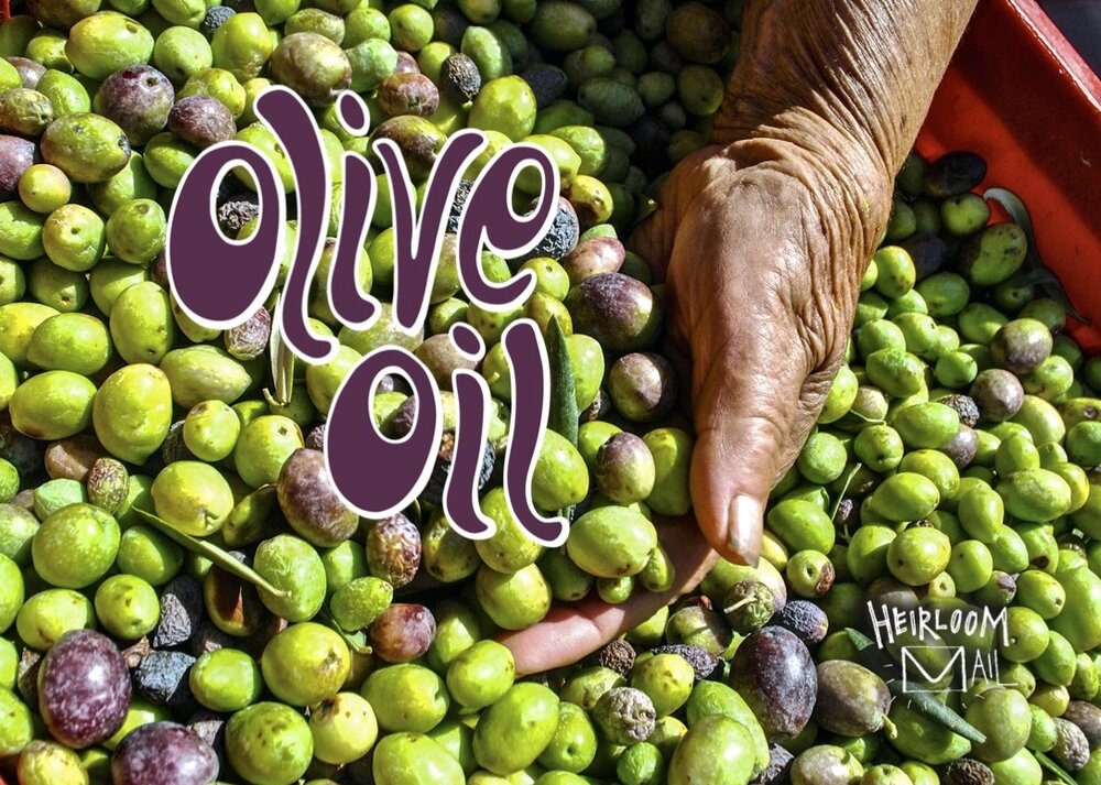 HMail Foldout-Olive Oil-cover.jpg