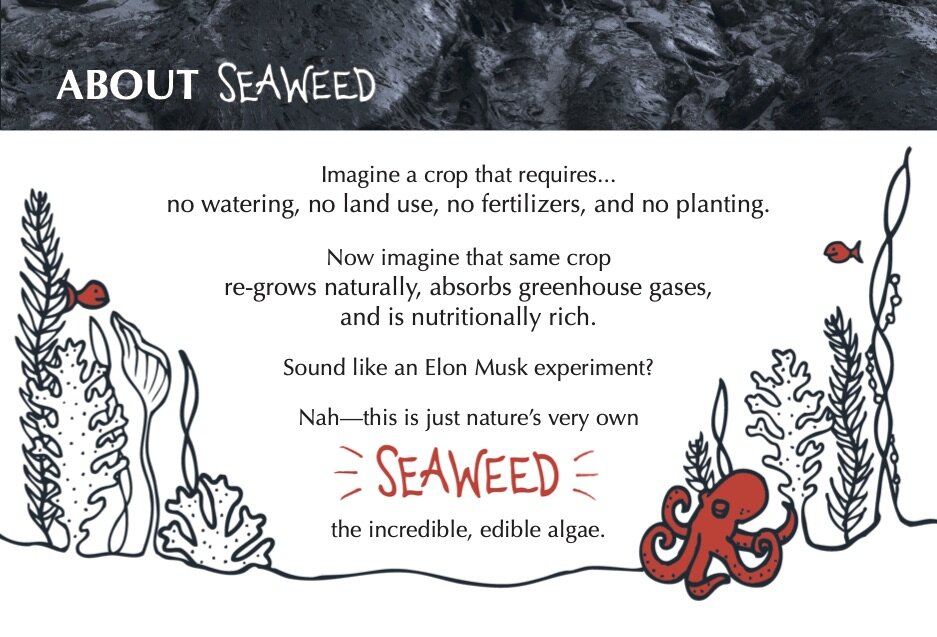 HMail-About Card-Seaweed-front.jpg