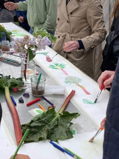 Drawing rhubarb