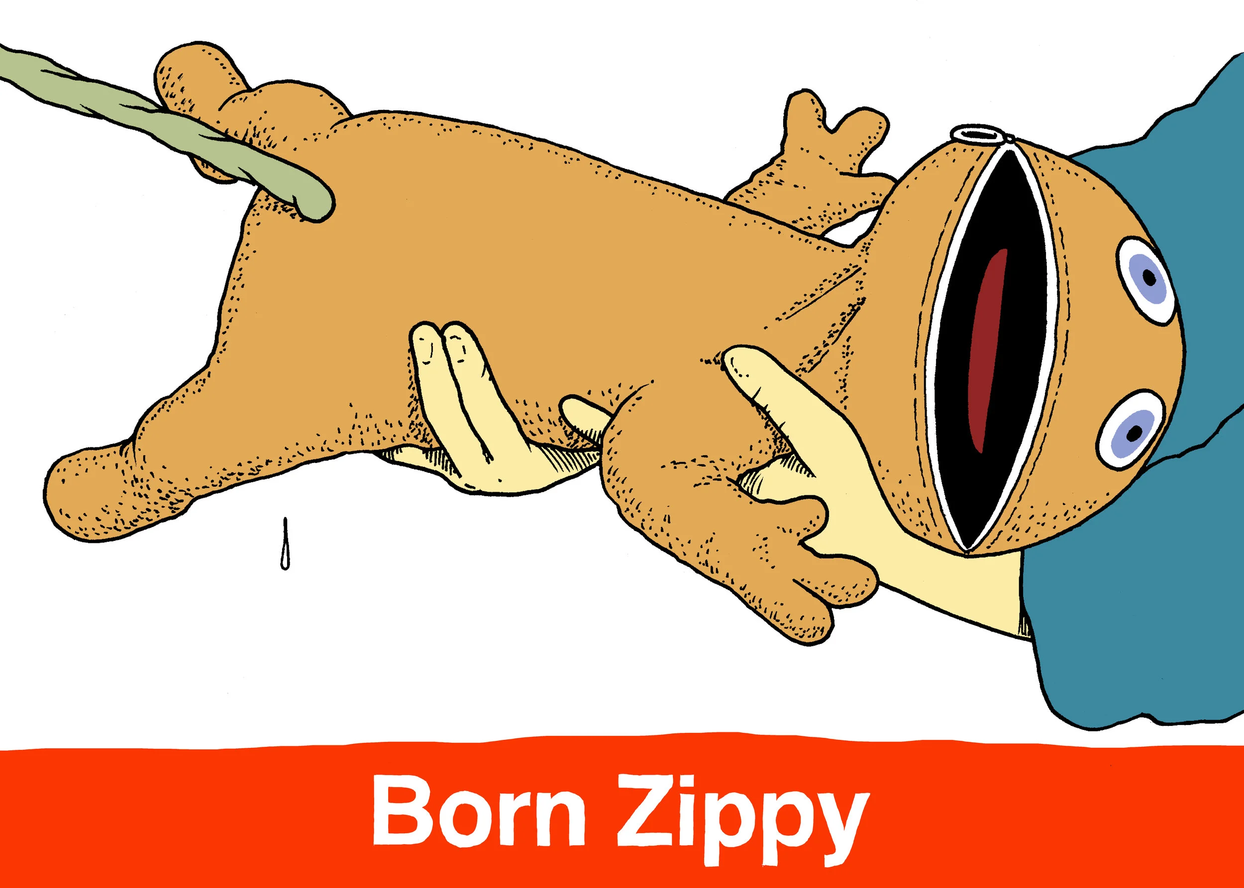 1 zippy.jpg