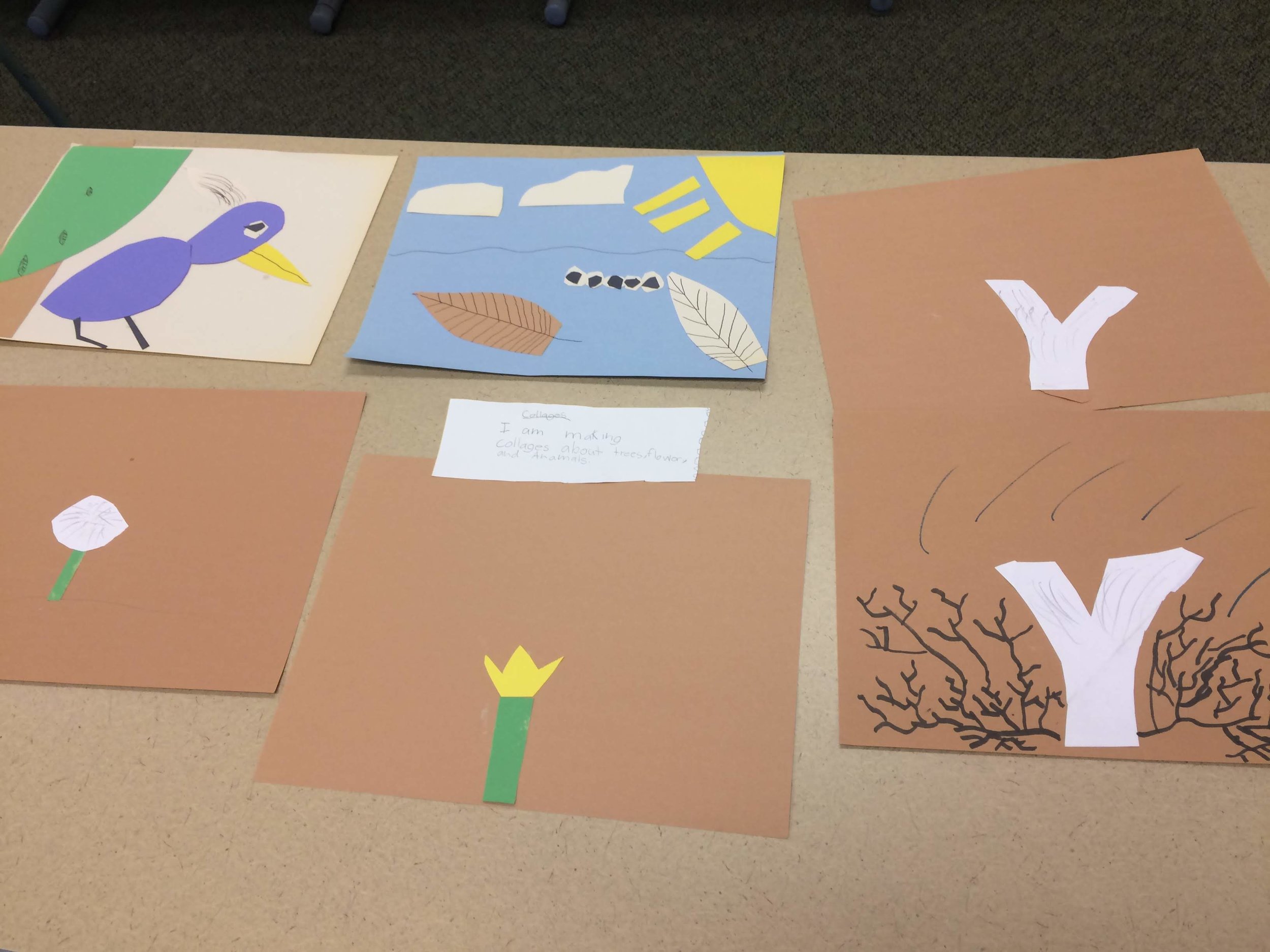 Construction paper collages of animals and plants found at Mt. Auburn