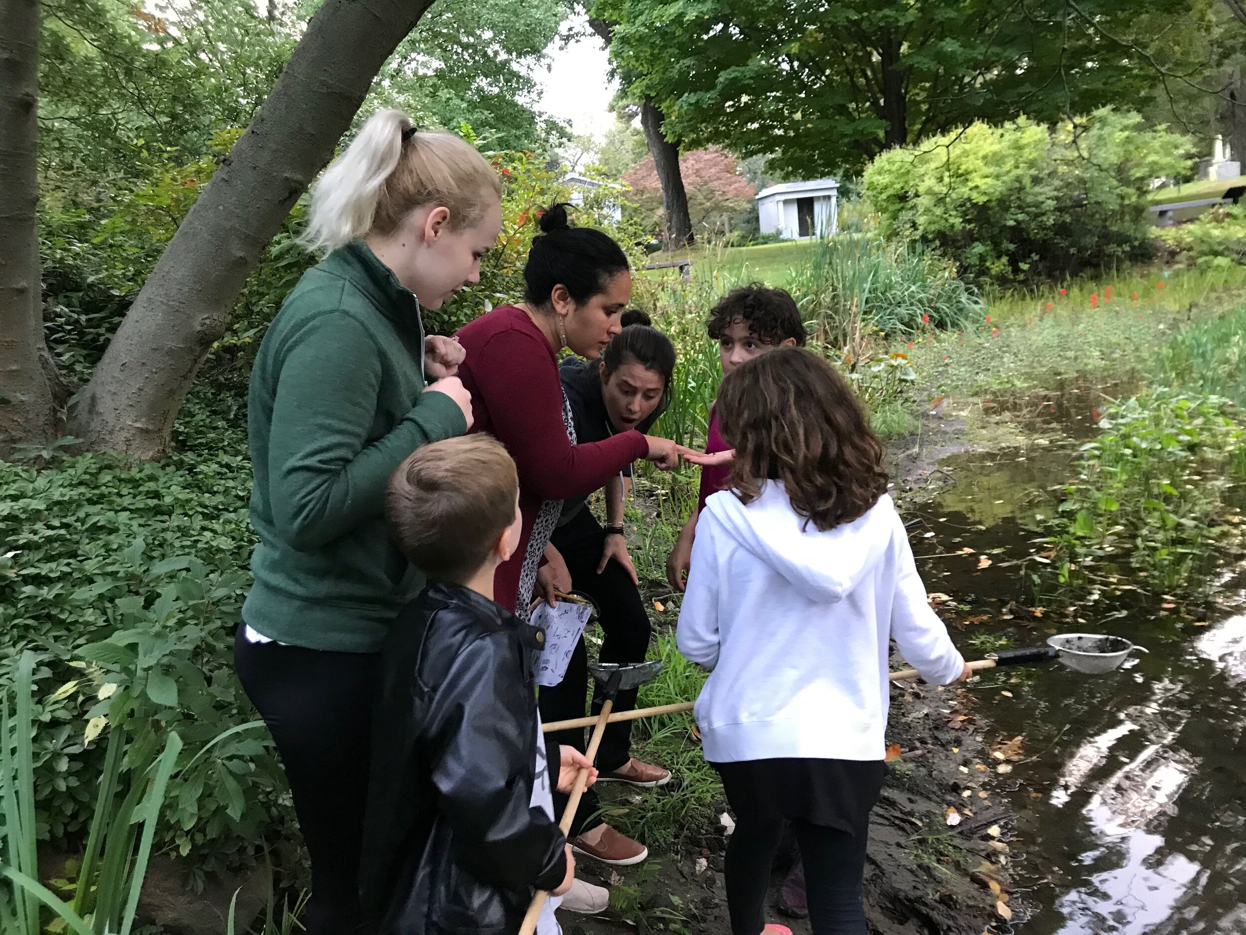 Pond Studies &amp; Habitat Exploration