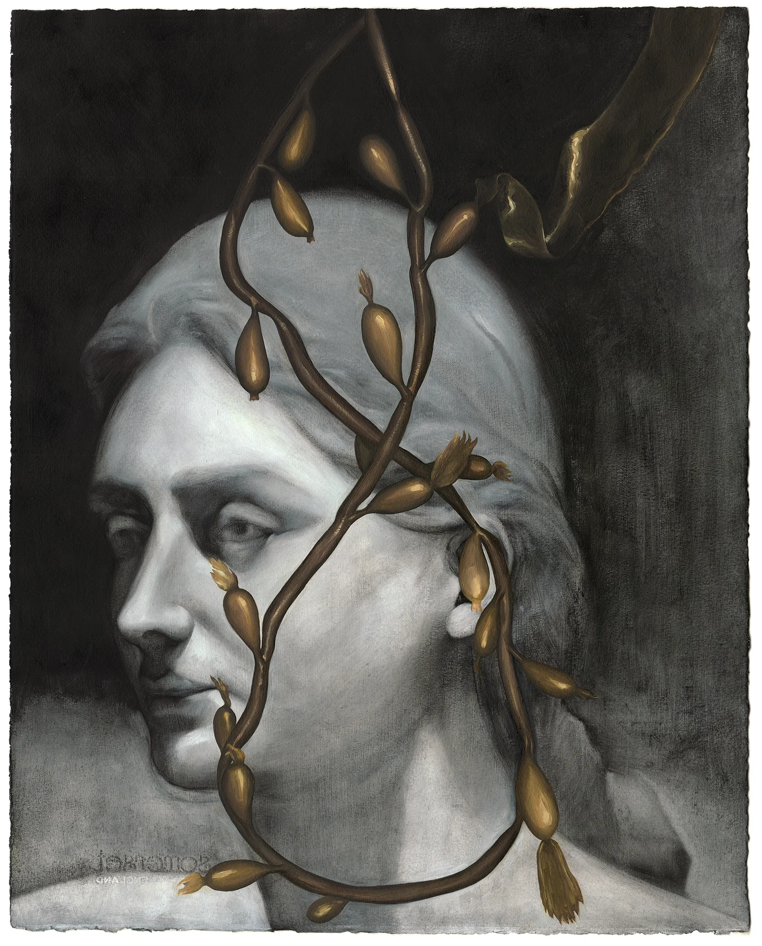 Venus No. 1: Salty Venus