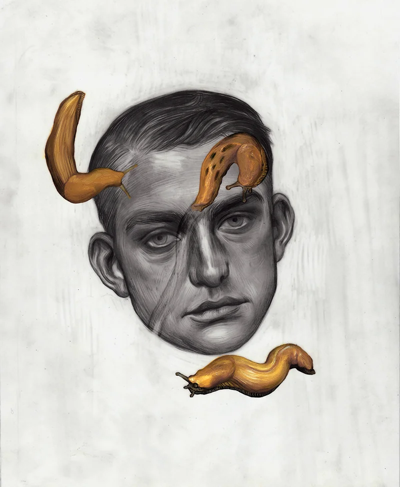 Banana Slugs
