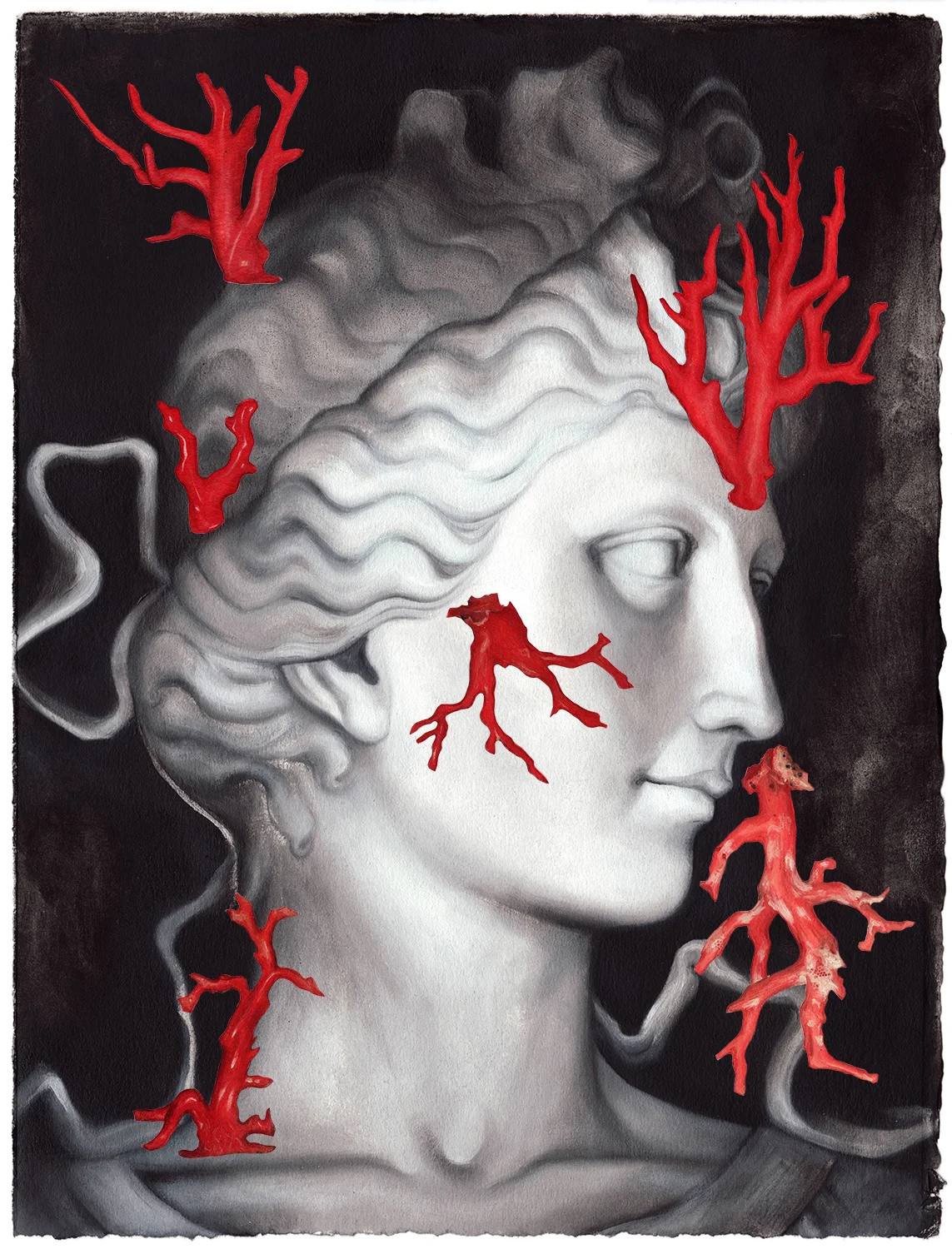 Venus No. 3: Reef Venus