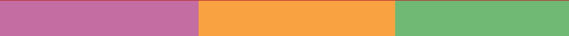2019 Color Bar .png
