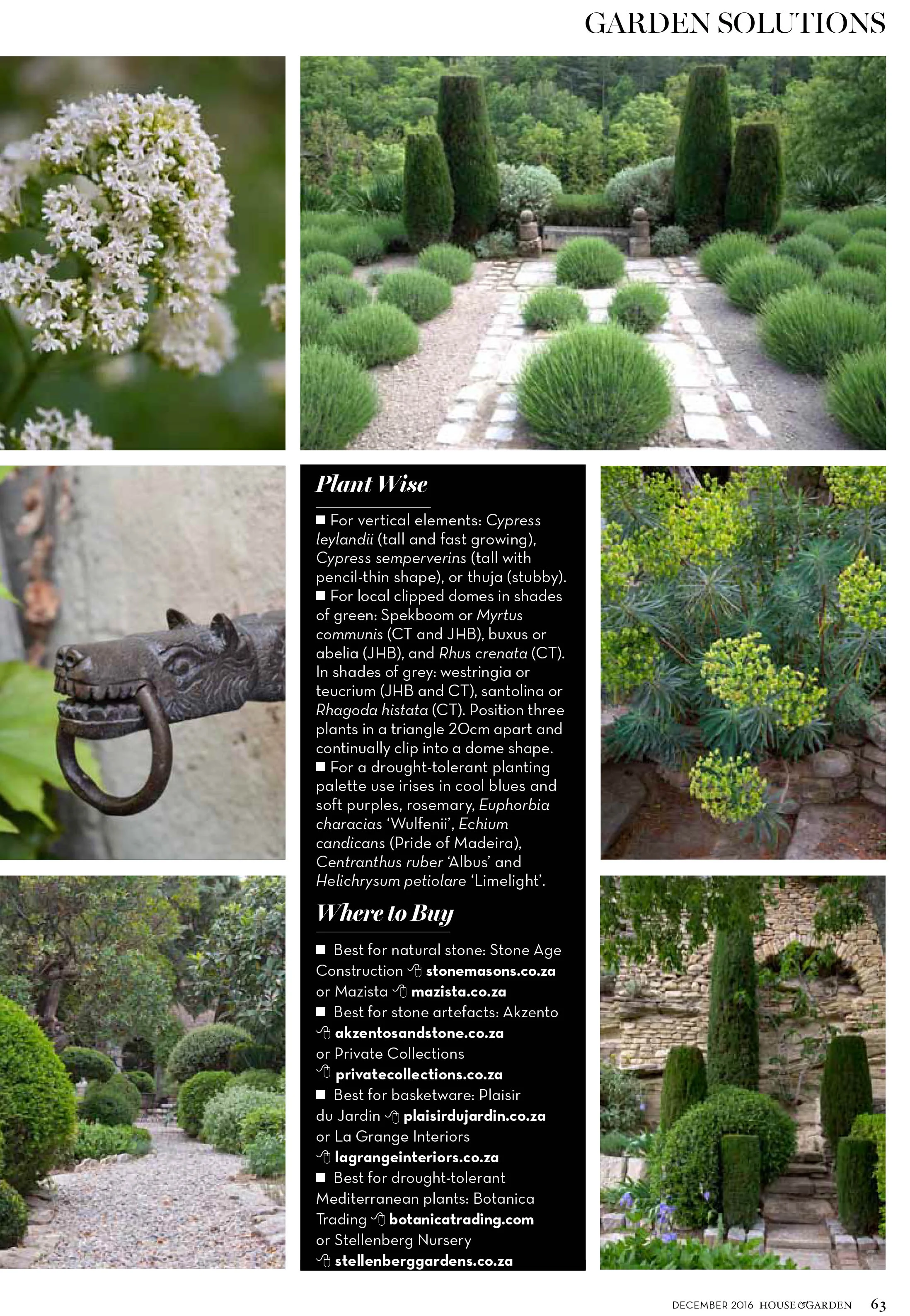ITG_PLANTS_V1-3c.jpg