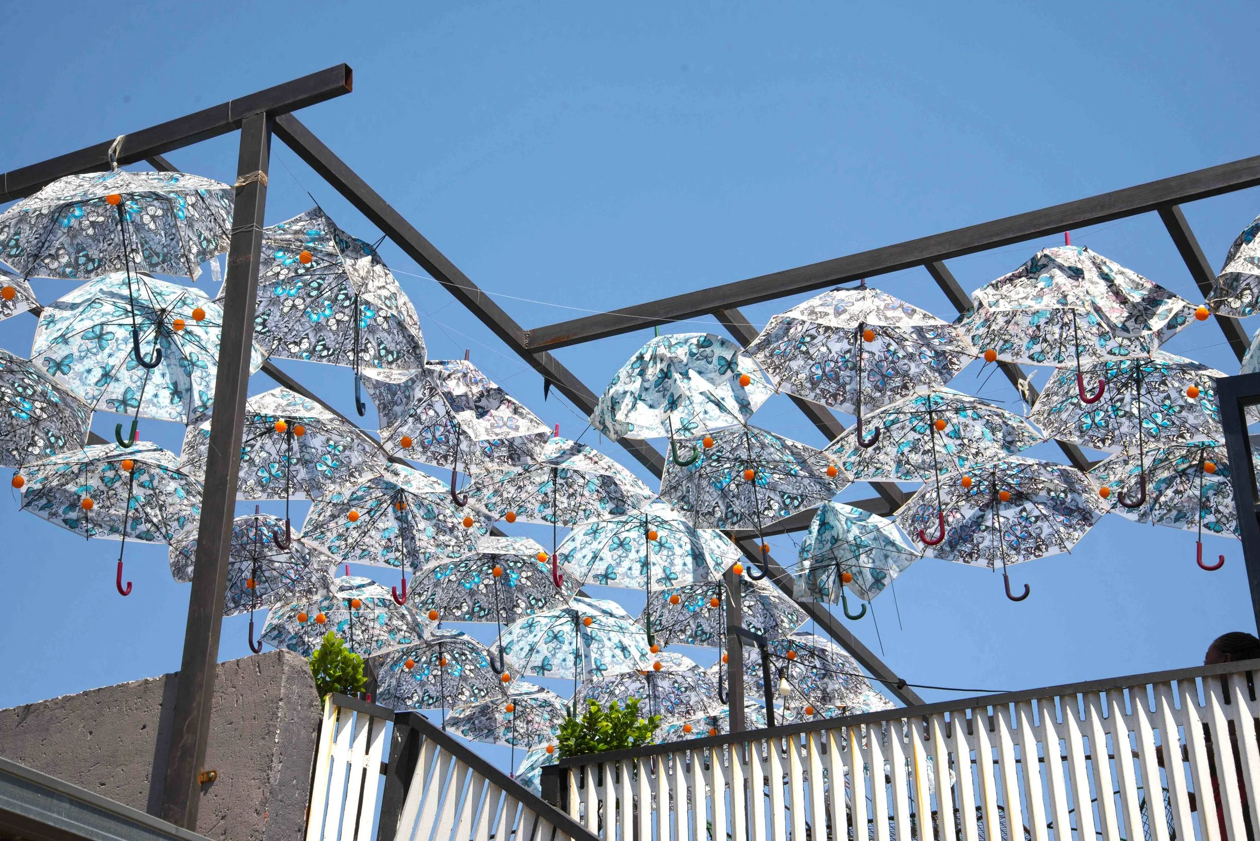 2017 umbrellas.jpg