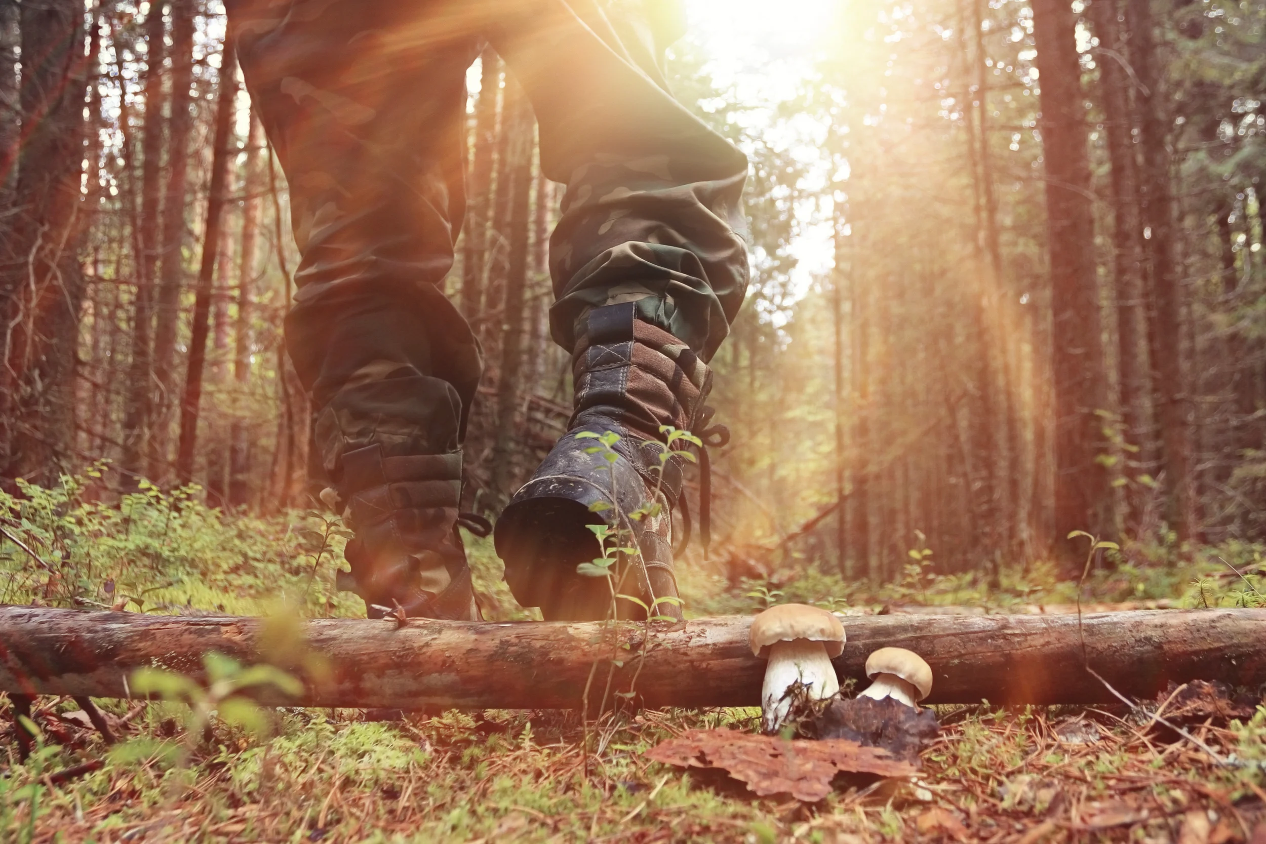 iStock-527693313.jpg
