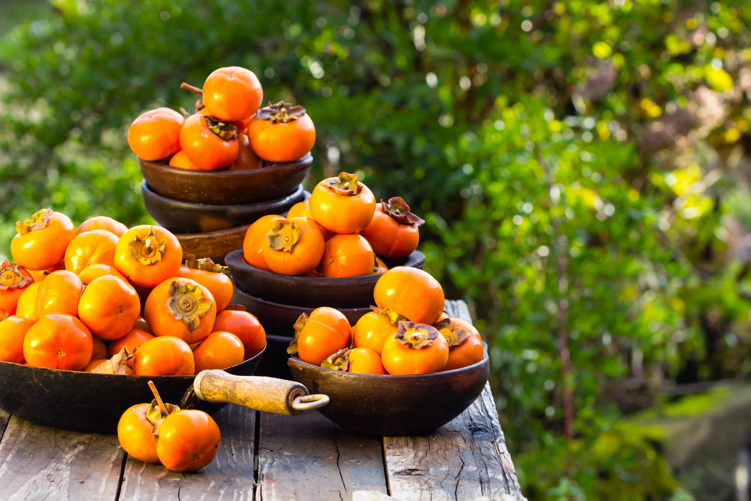 shutterstock_428230930.jpg