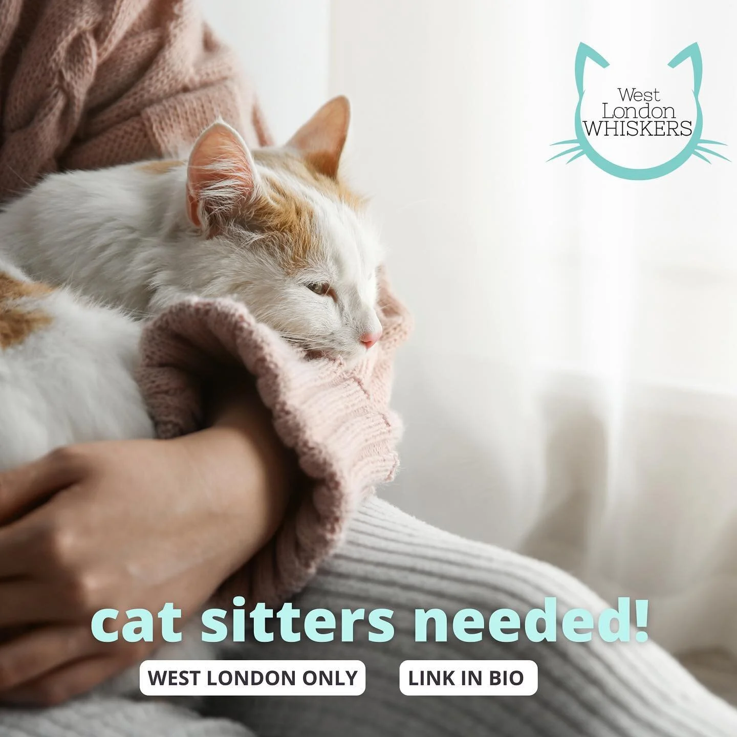 west london whiskers GALLERY