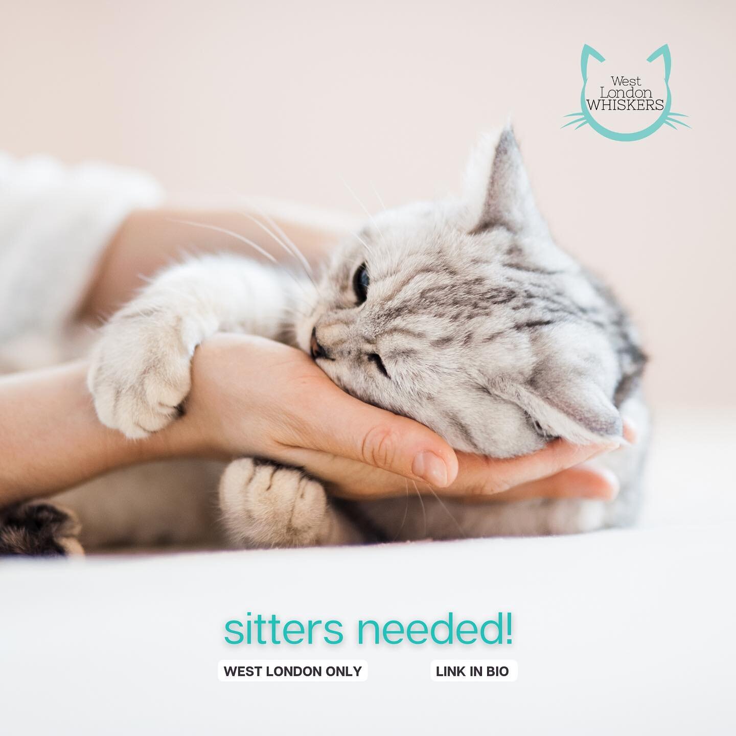 We are looking for sitters to join our small catsitting agency West London Whiskers.  MUST BE EXPERIENCED WITH CATS + MUST BE AVAILABLE OVER FESTIVE SEASON 🎄🎄🎄We are currently ONLY looking for sitters in West London and in the areas specifically m