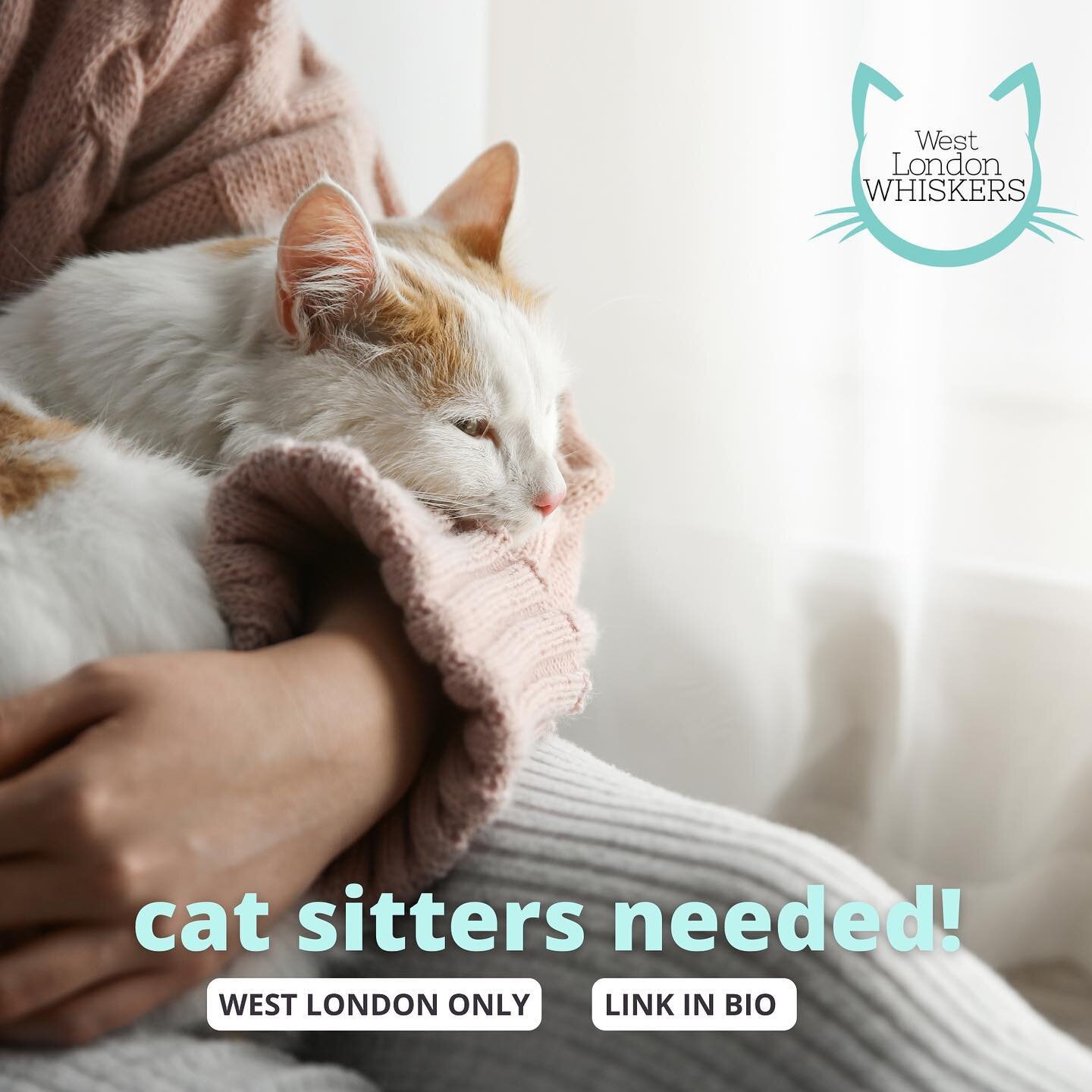 We are looking for sitters to join our small catsitting agency West London Whiskers.  MUST BE EXPERIENCED WITH CATS + MUST BE AVAILABLE OVER FESTIVE SEASON 🎄🎄🎄We are currently ONLY looking for sitters in West London and in the areas specifically m