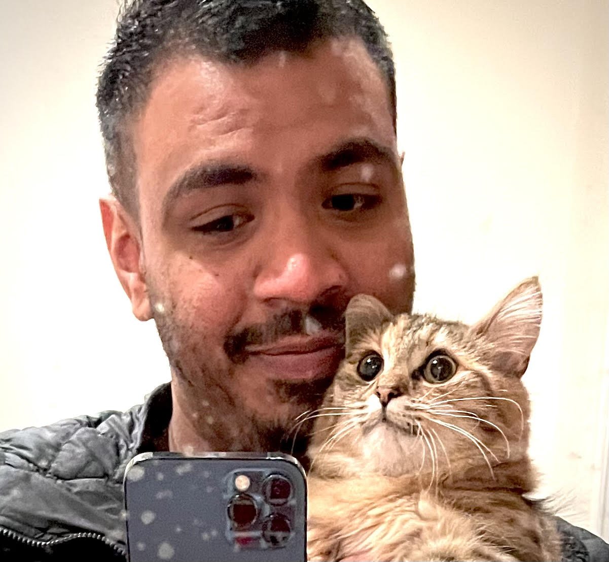 West London Whiskers Catsitter David Da west-london-whiskers-catsitter-david-da