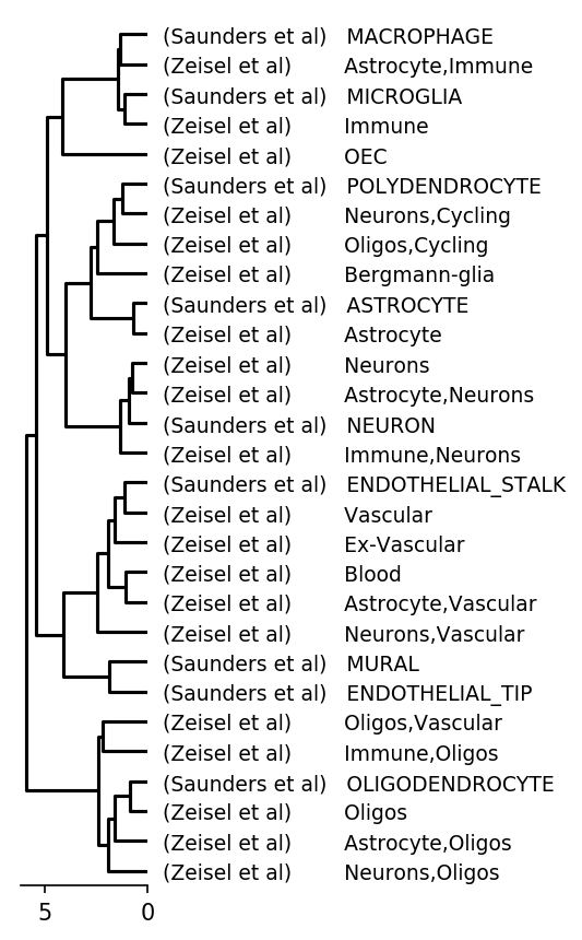 dendrogram_classes.png