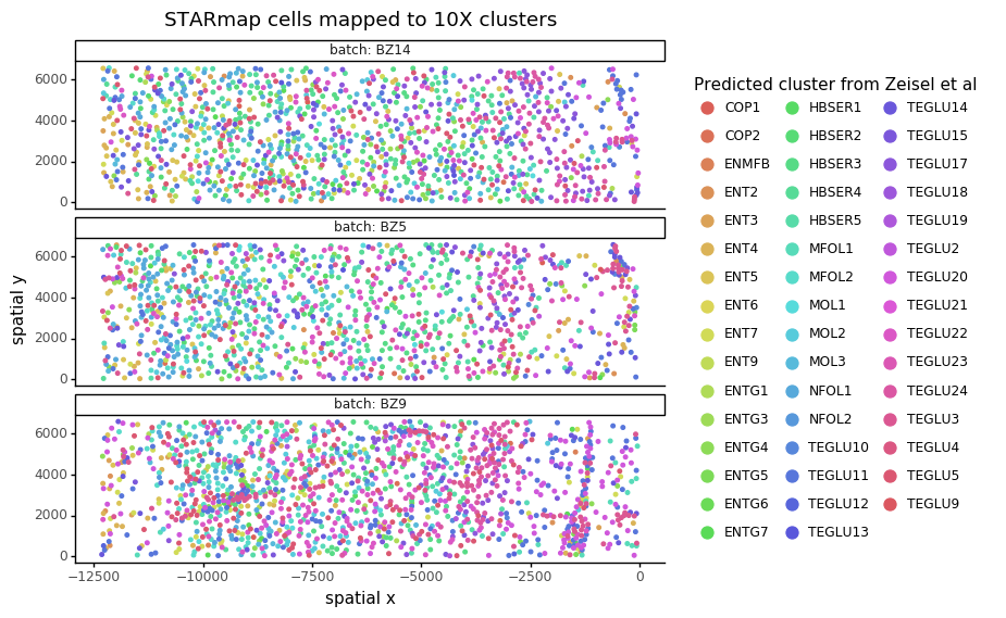 starmap_predict_zeisel_clusters.png