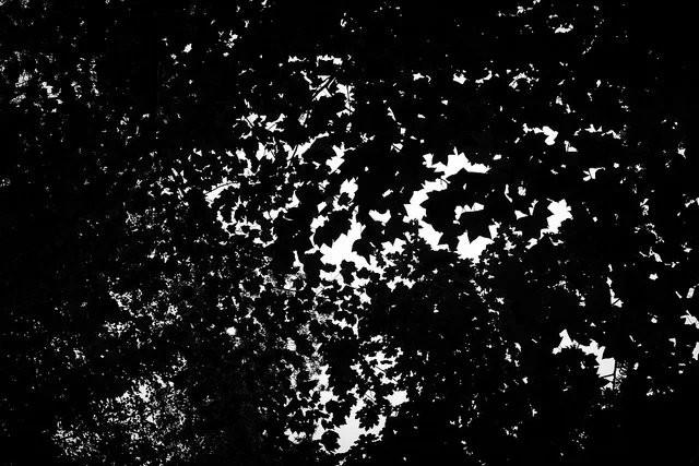 30738719518_7133f93fbe_z.jpg