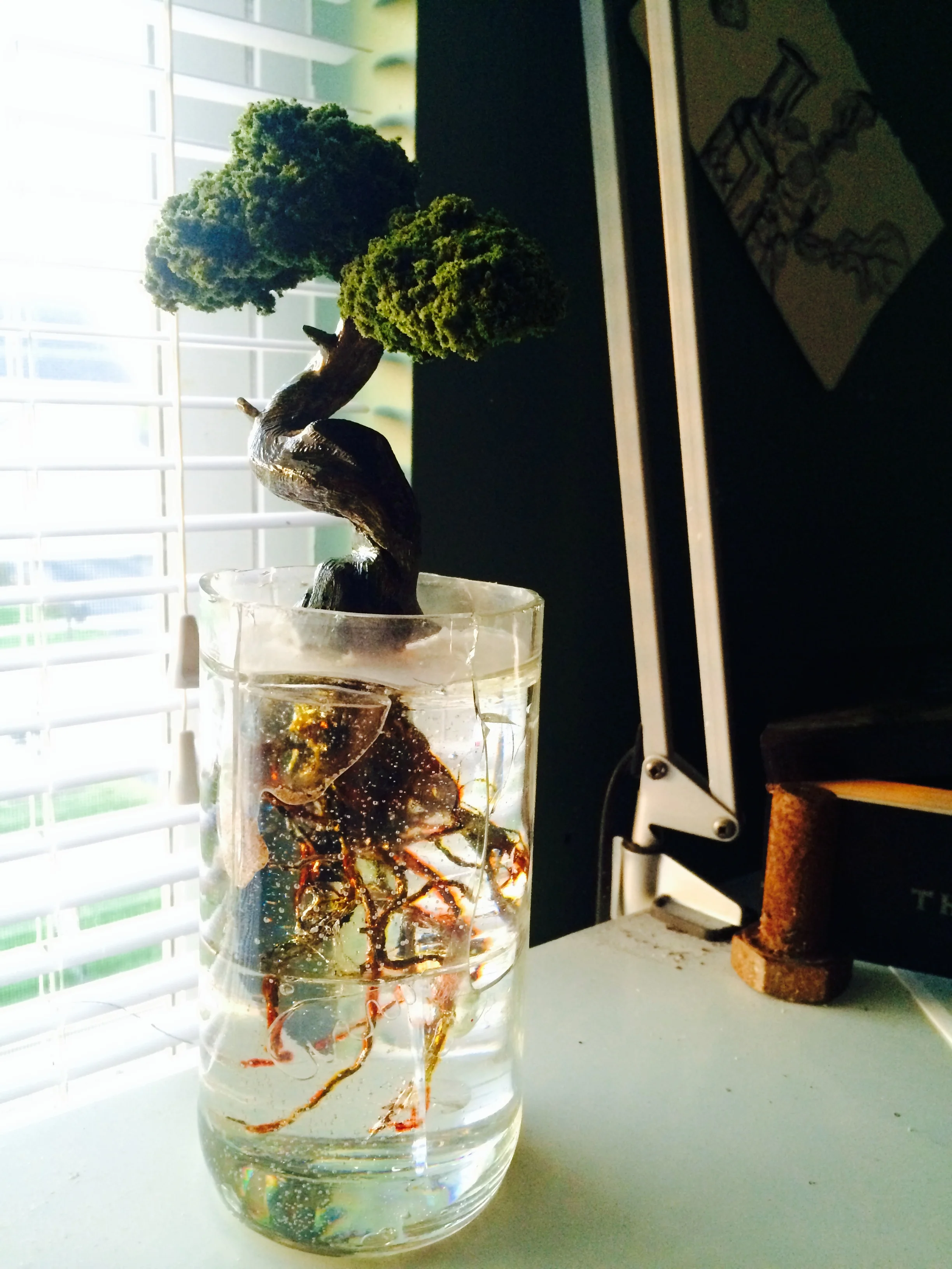 IMG_3479.jpg