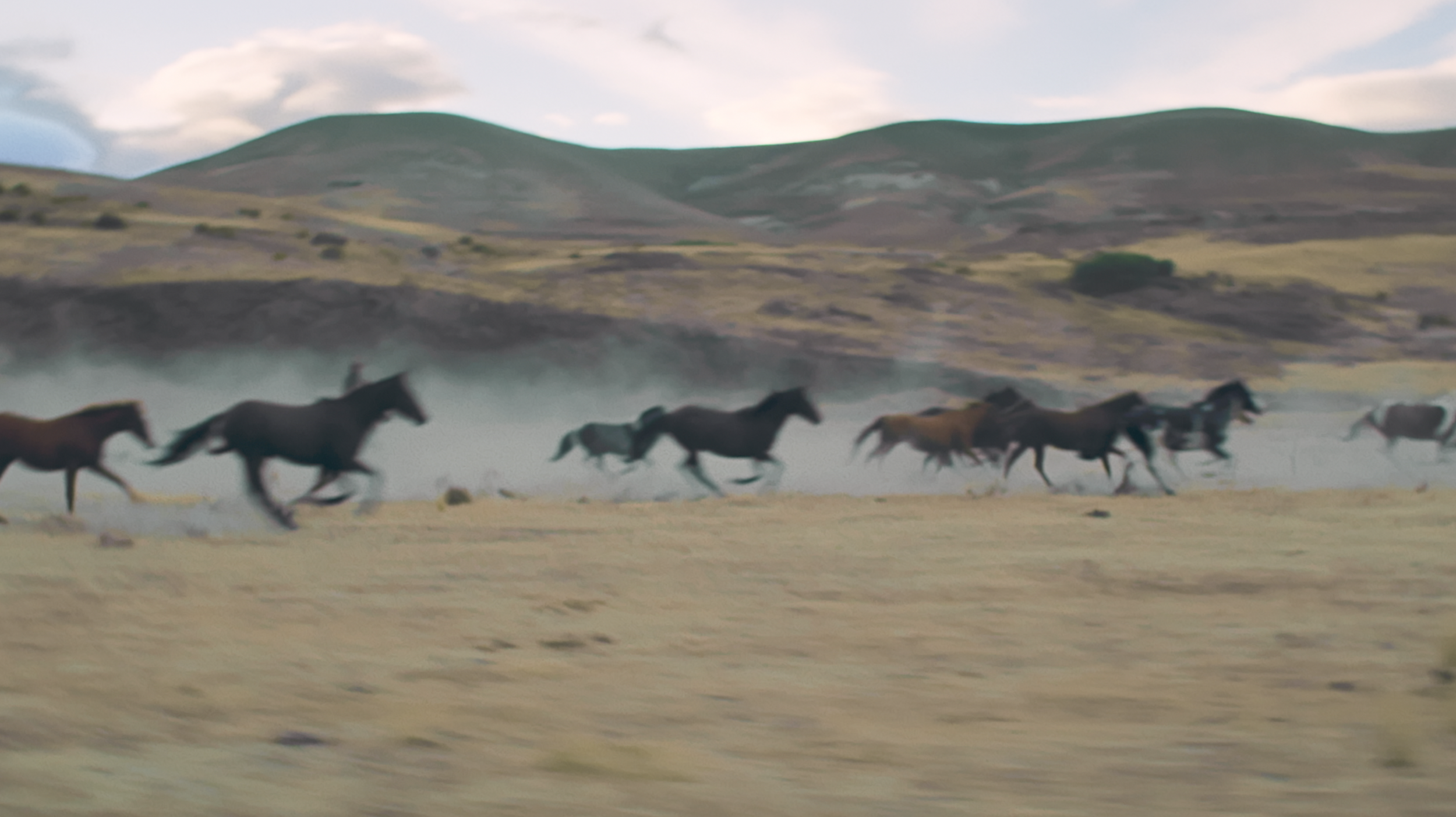 Chevrolet - Chevy Drives America