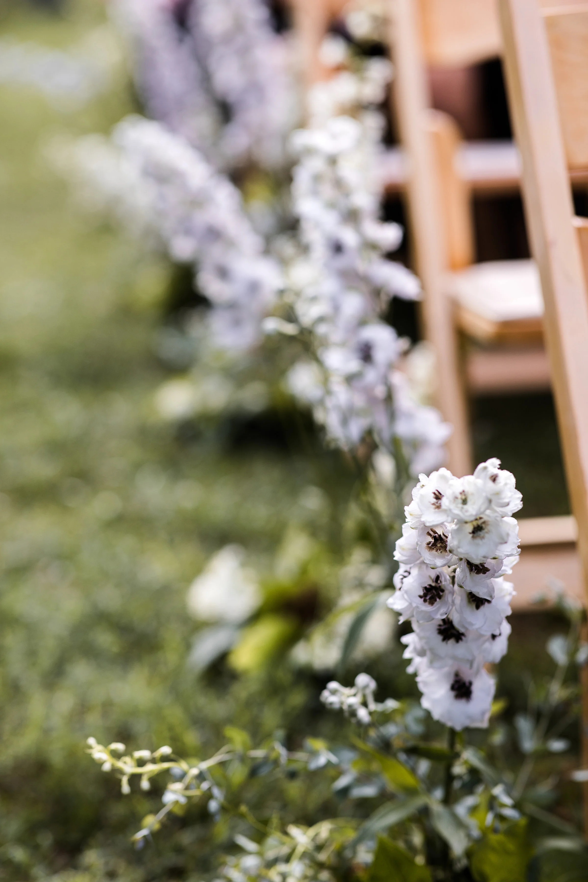 Liesl&DanielWedding-266.jpg