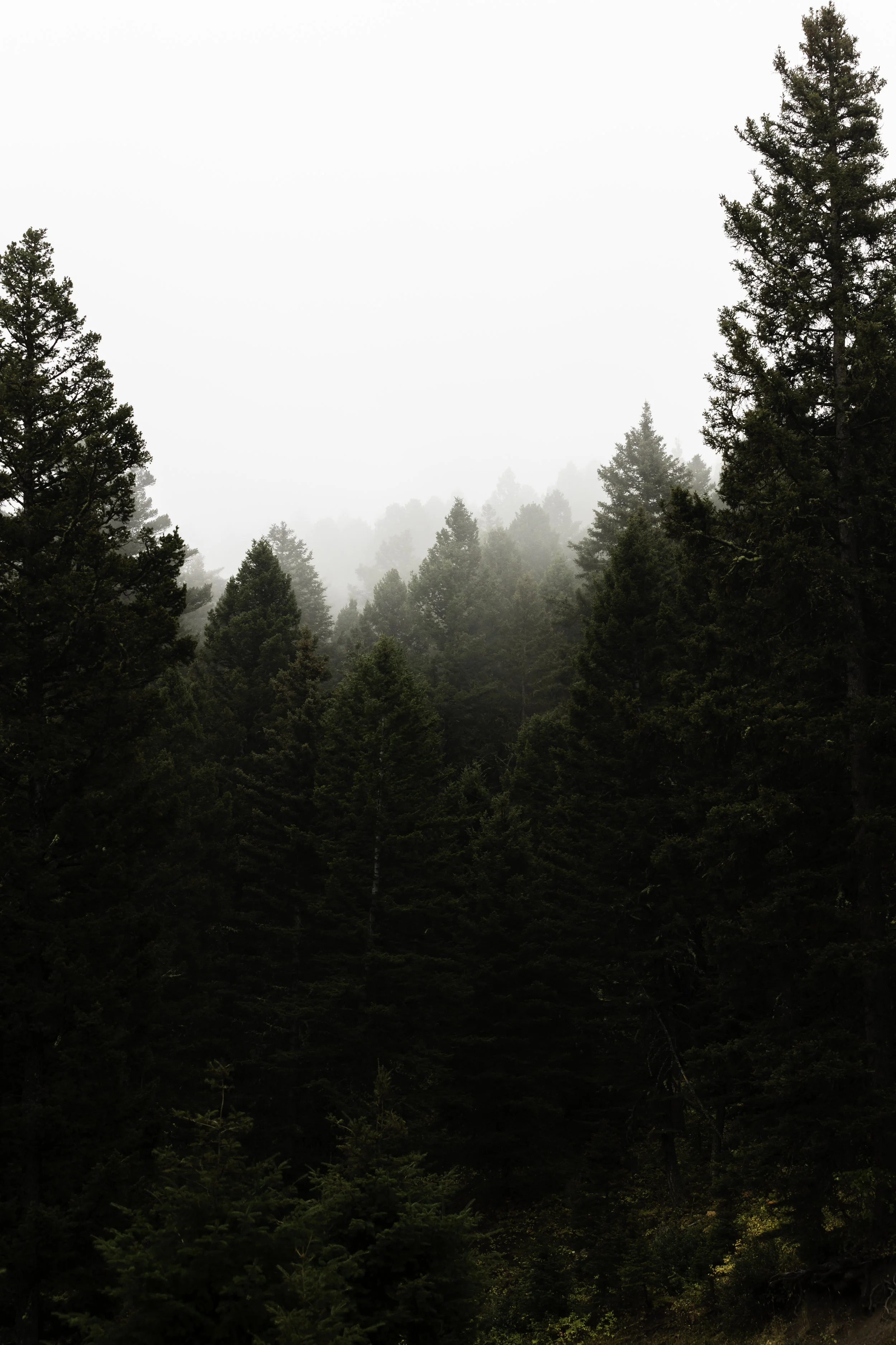 Jack DeVries_Lost_20x30_300ppi_BC Vib.jpg