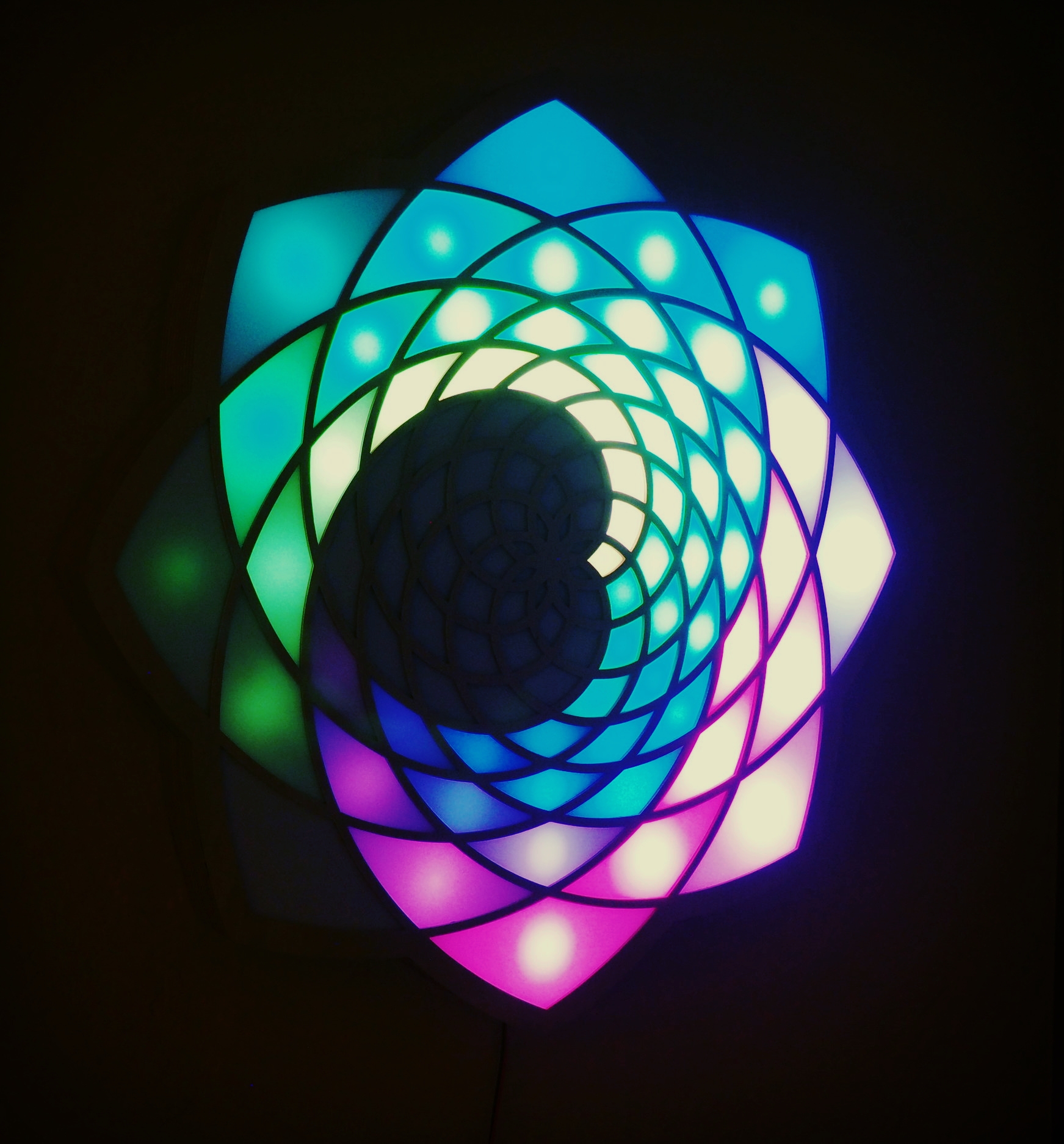 Life's Bloom (photo)