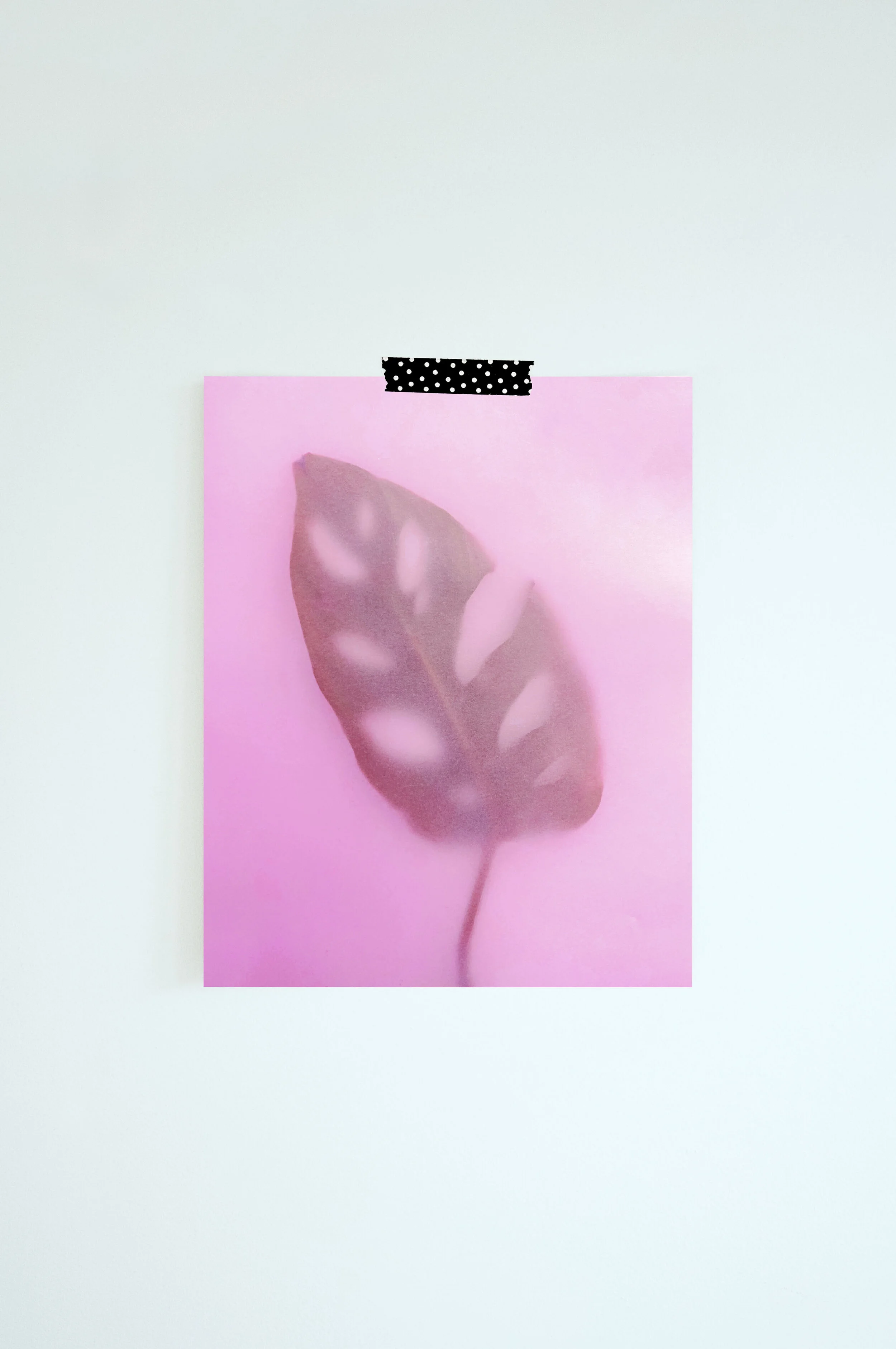 Monstera_MockUp.jpg