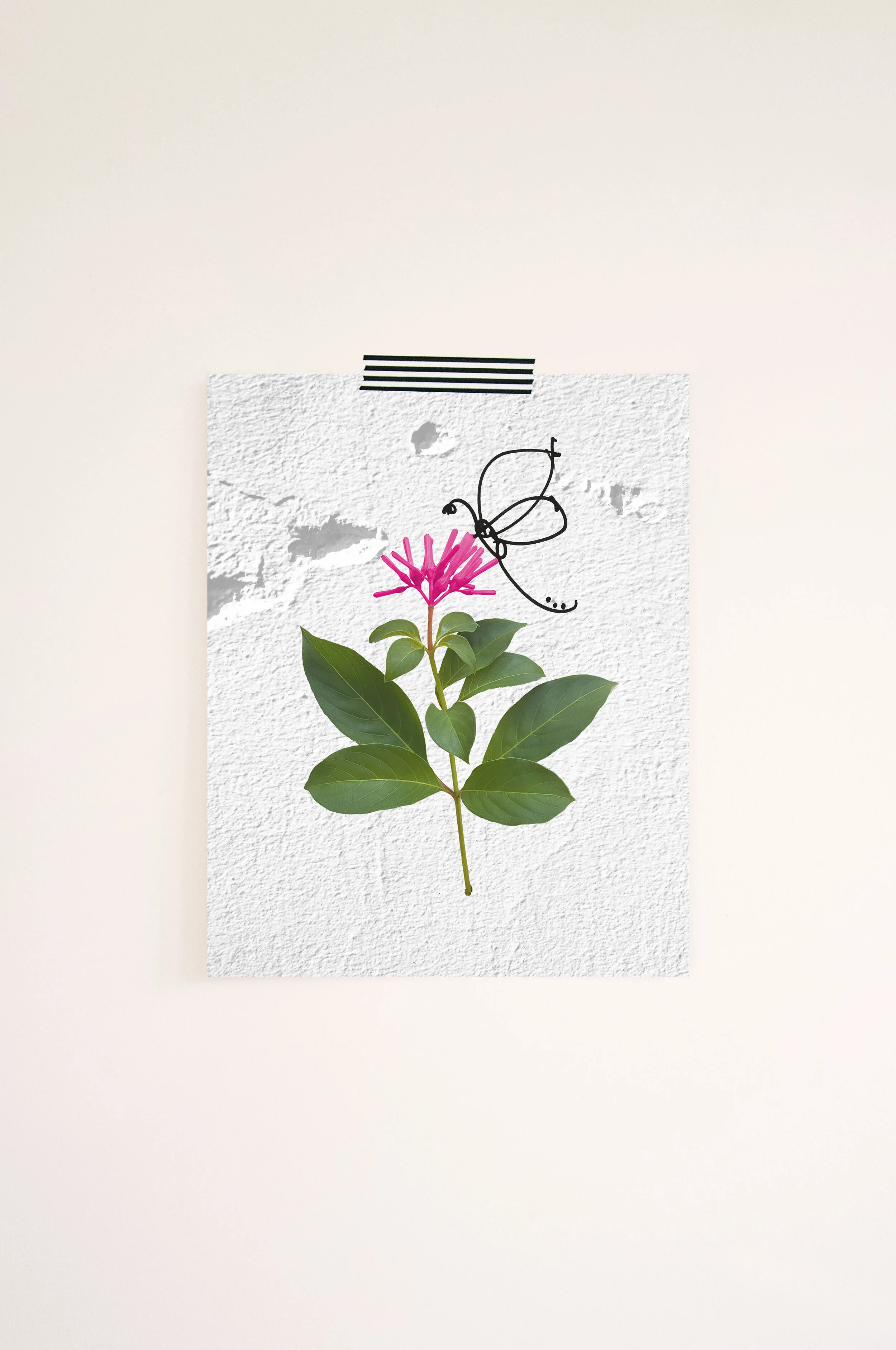 Butterfly_MockUp.jpg