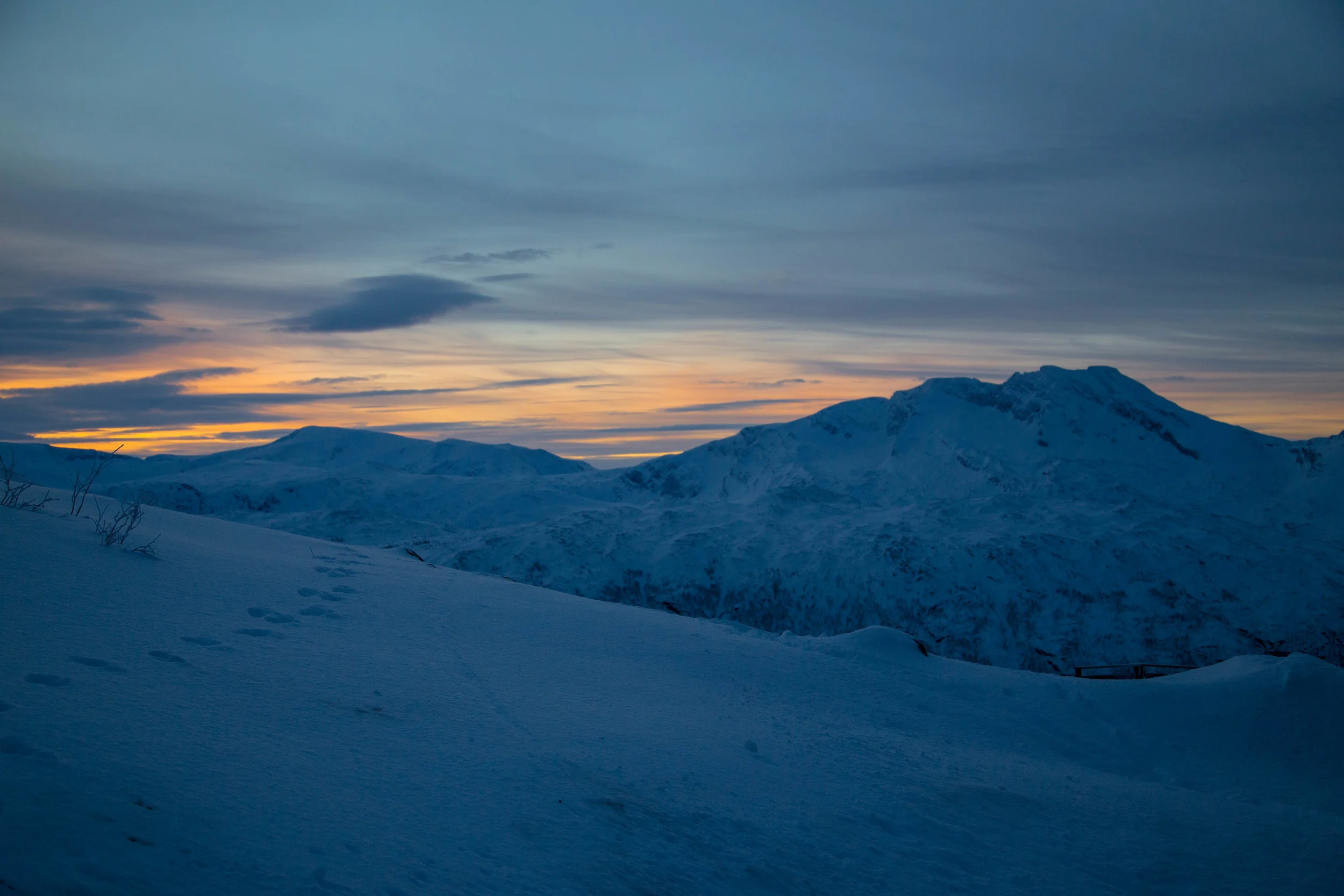 Narvik