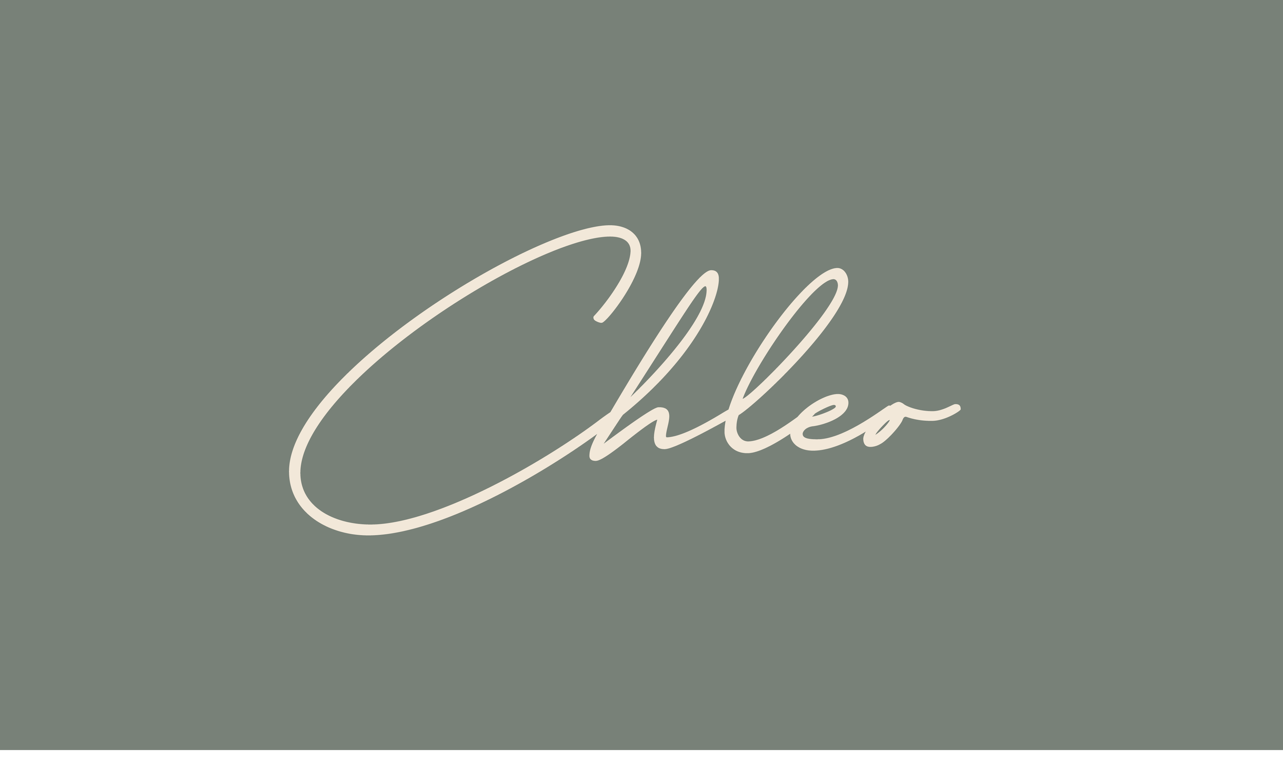  Chleo Restaurant Kingston NY Brand Design Wine Bar Hudson Valley 