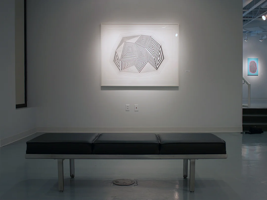 Dowd Gallery Solo Exhibition The State University of New York @ Cortland 2016