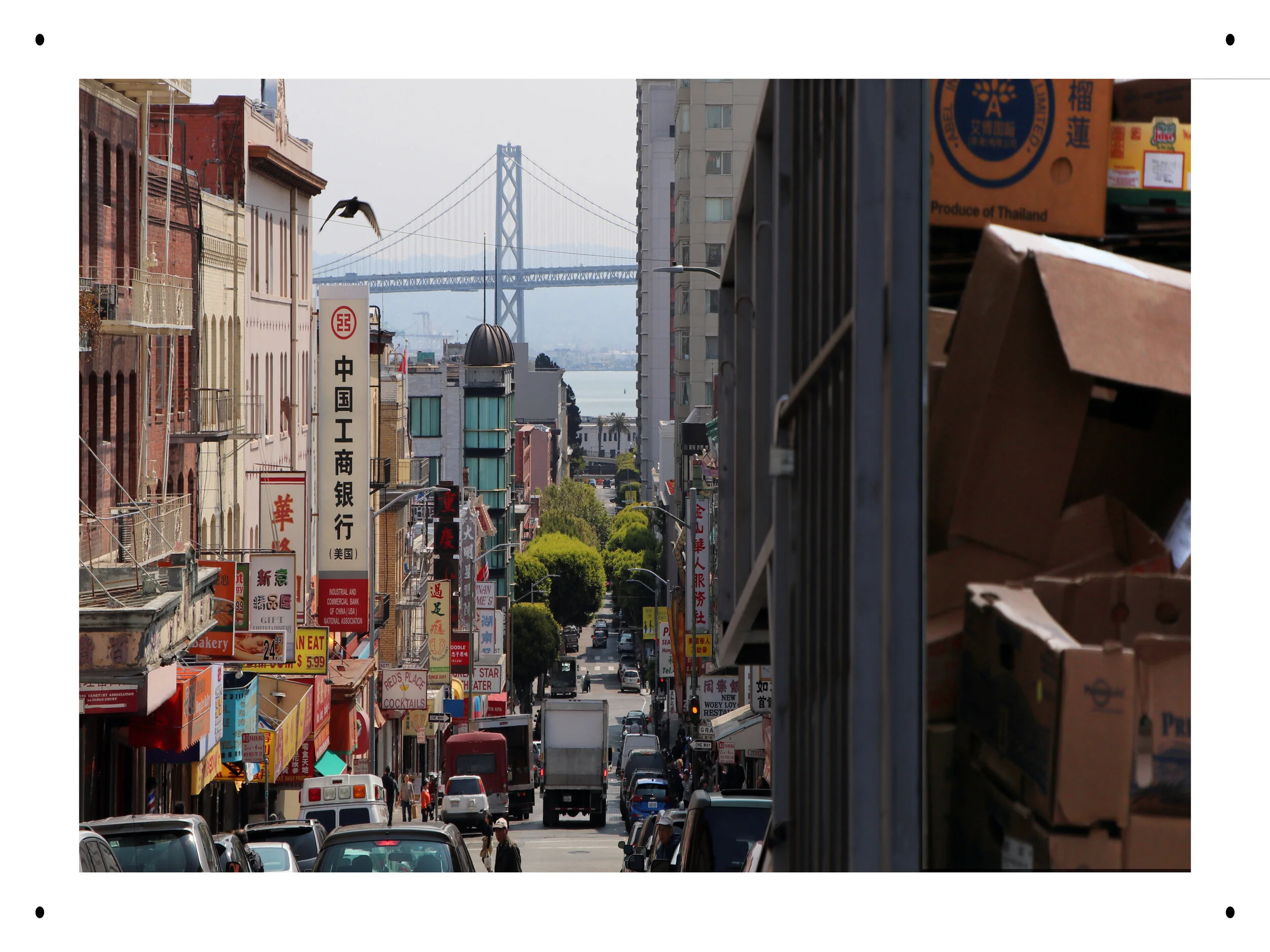 ccic_16x12_h_sfo_bird_bridge_boxes.jpg