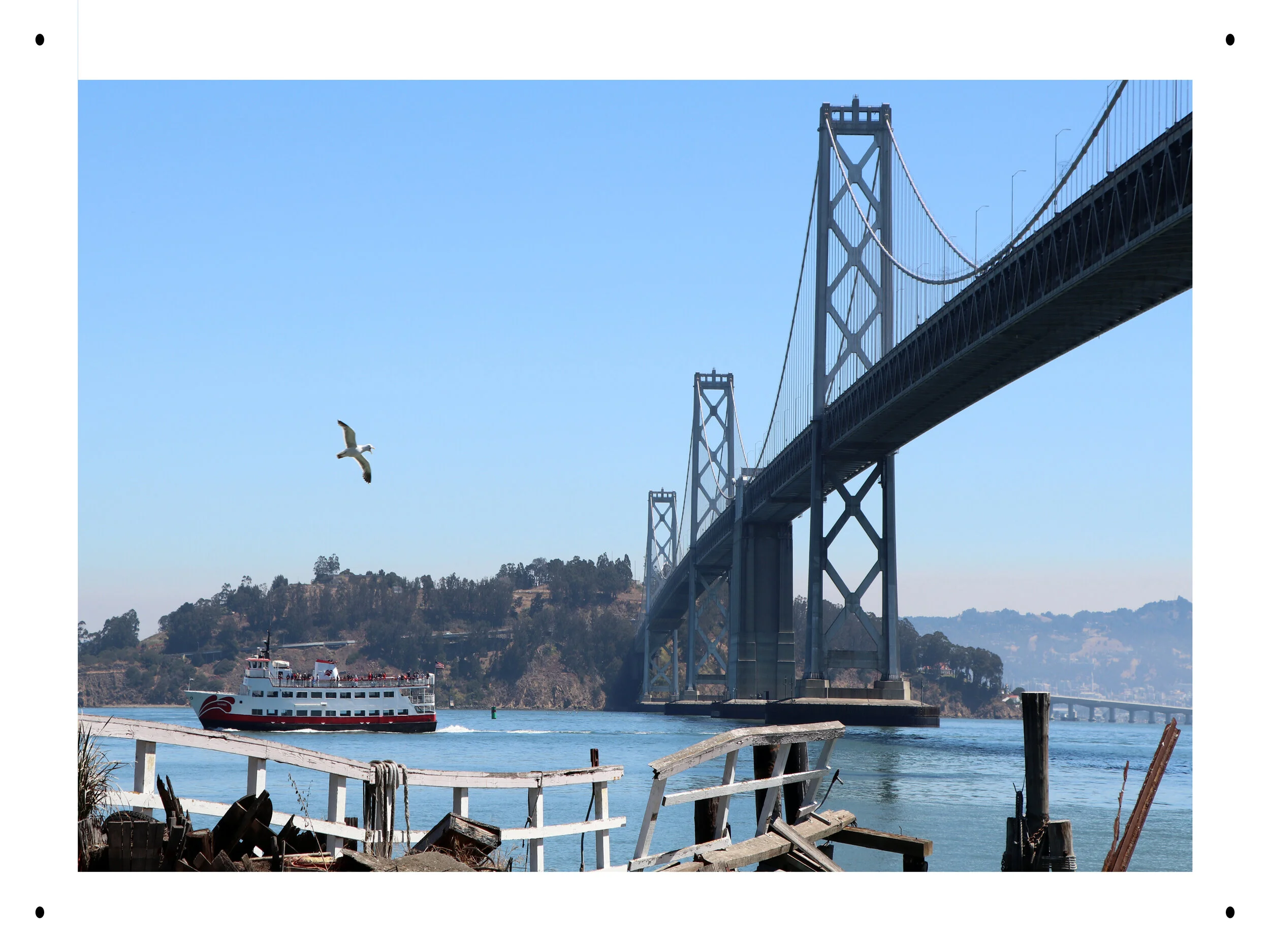 ccic_16x12_h_sfo_boat_bird_bridge.jpg