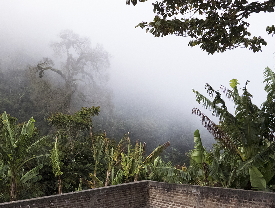 Early morning views from Finca Bella Aurora.