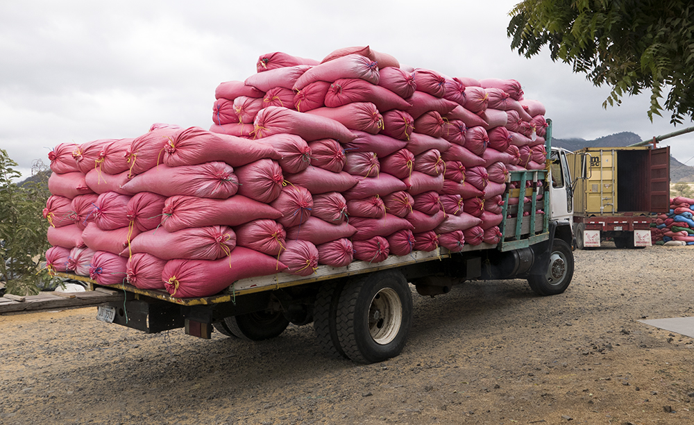 Bags are loaded up and ready for shipment at a co-operative in Jinotega. 
