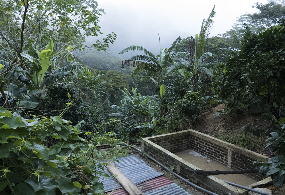 Overlooking the washing facility at Bella Aurora 