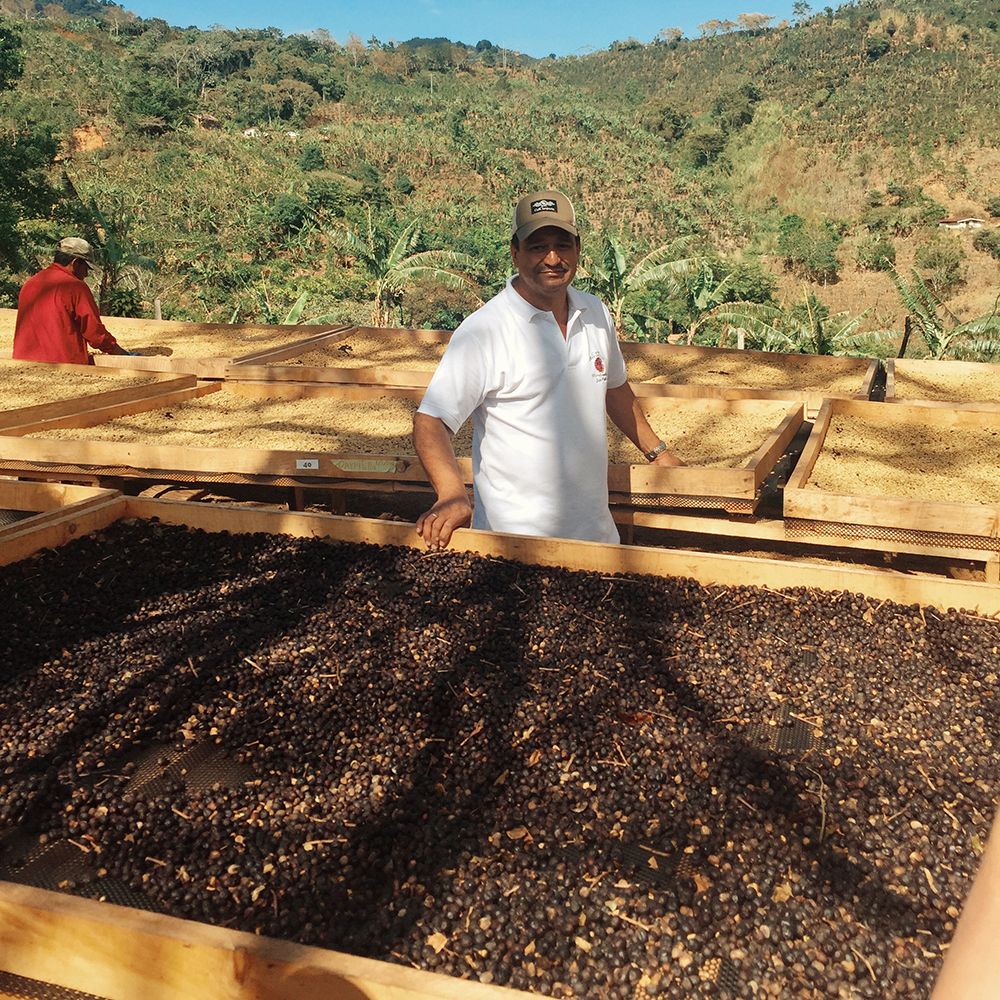Don Cesar Urena and his coffee at San Isidro de Leon Cortez in Costa Rica