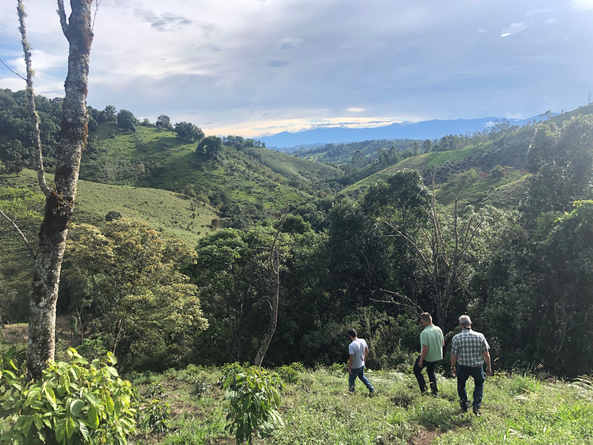 We visited a coffee farm in Popayán (Southwest of Bogotá) & were greeted by one of our gracious host, Andreas. We checked out the current berries that were being prepared for processing plus more.