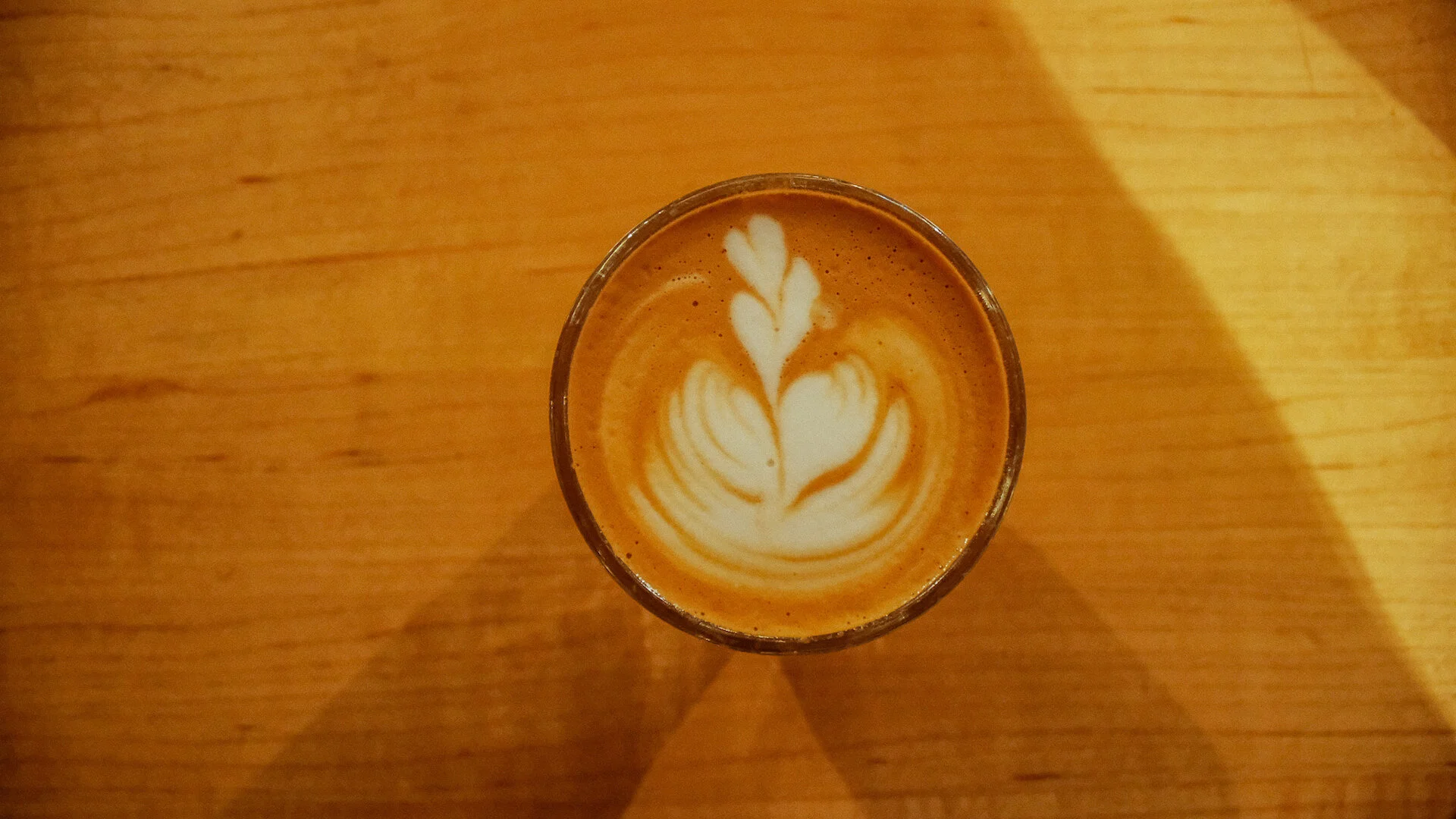 Seed To Cup — French Truck Coffee