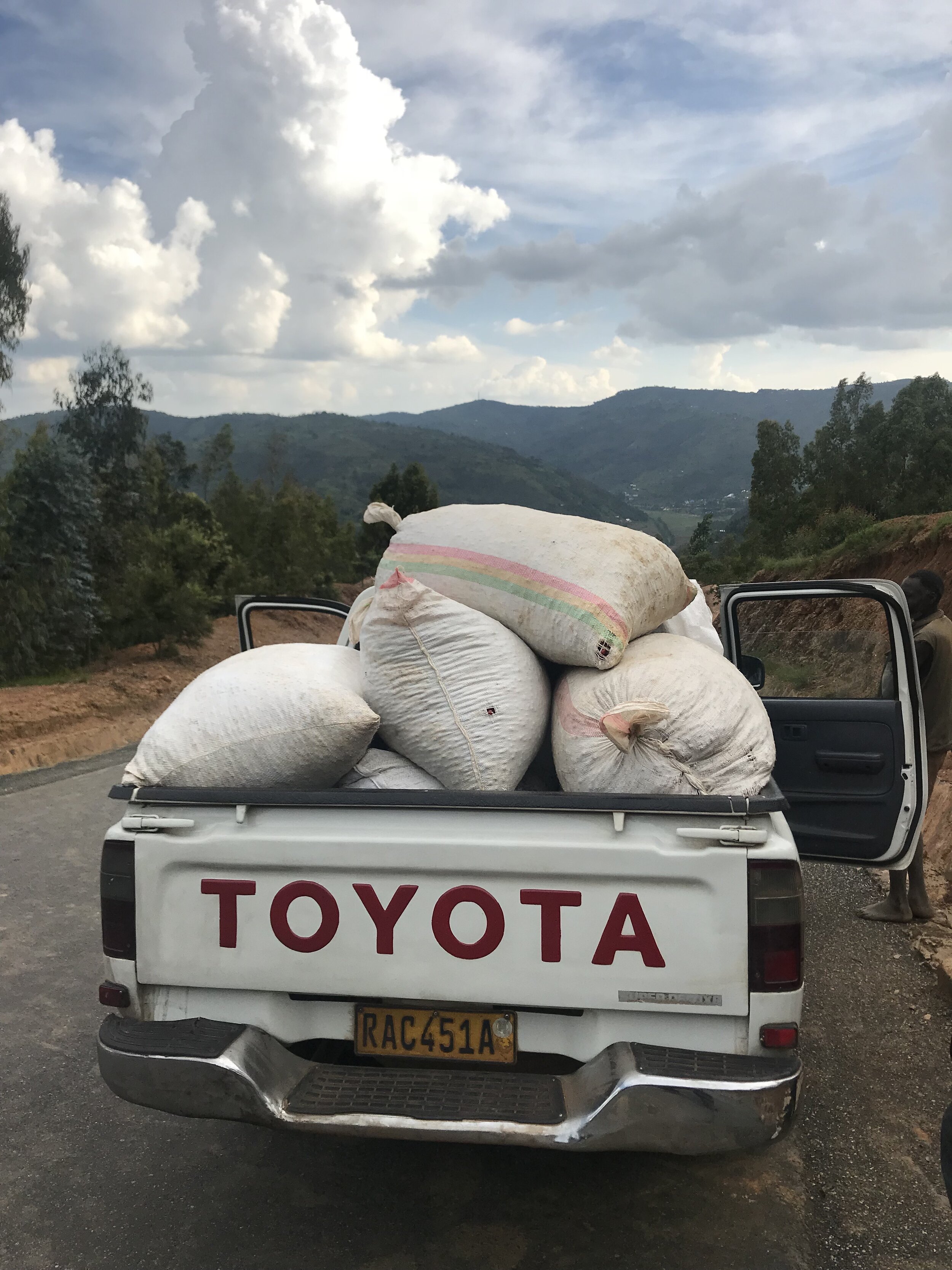 1st Cherry Pickup of the 2018 Kinini Harvest.jpg