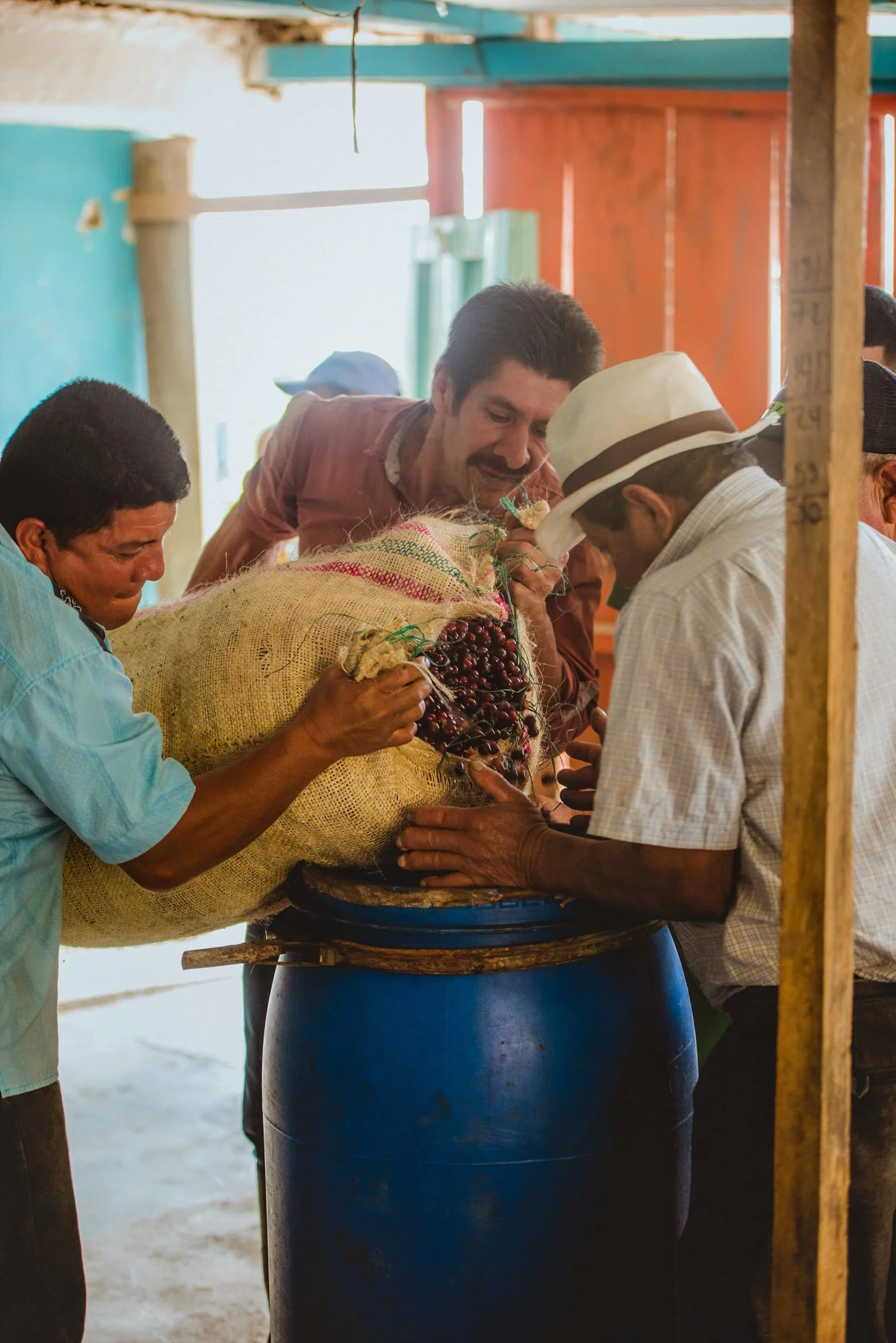 Colombian Pink Bourbon — French Truck Coffee