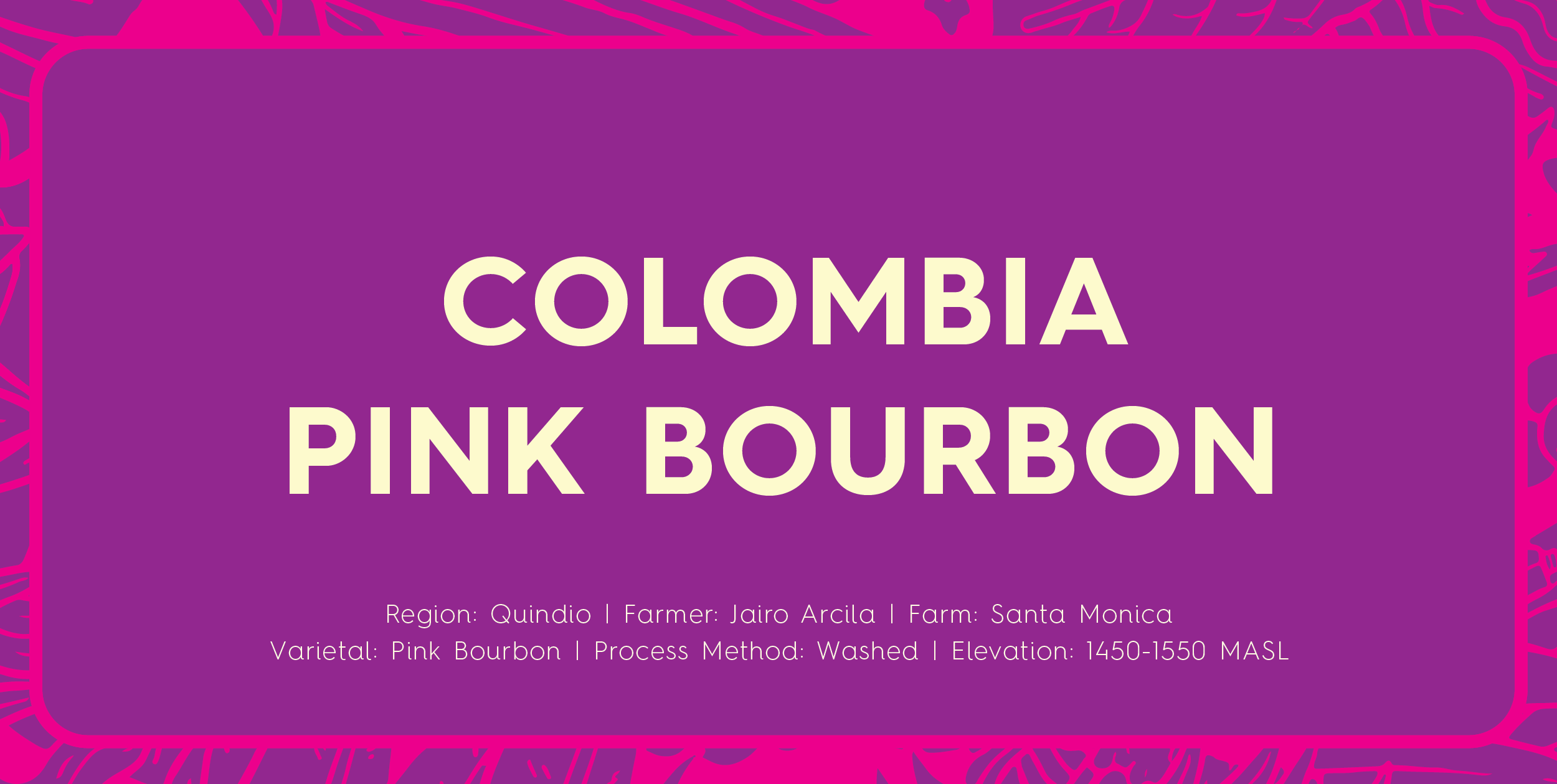 Colombia _ pink bourbon_3.13.24_WEB BANNER copy.png